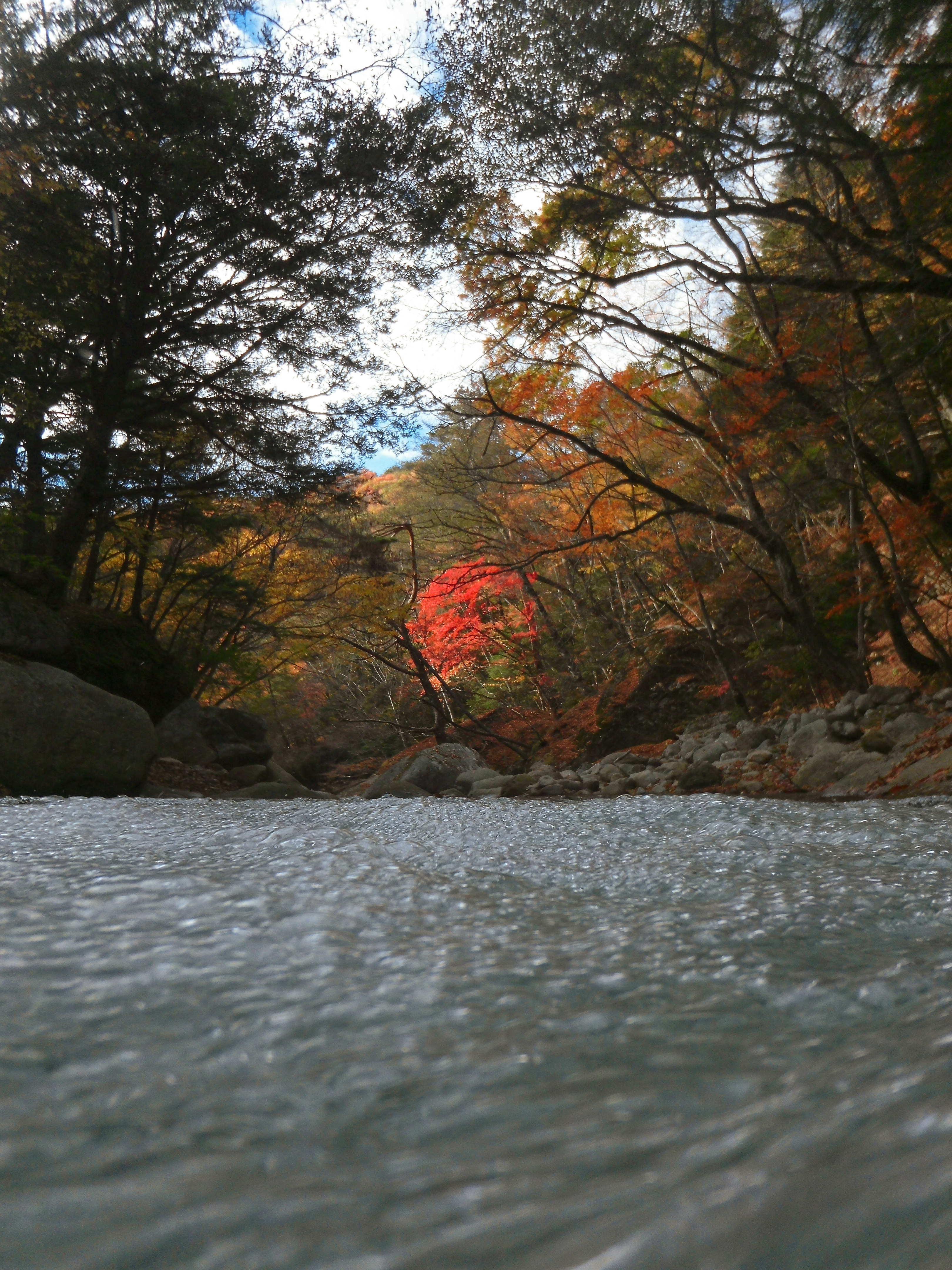 渓流の水面上3㎝くらいにカメラを配置してみた。これまで見たことも考えたこともない新鮮なアングルになった。そして、渓流の白波が泡のように粒だっているのだと初めて知ることができた。EX-FR10は新たな視点だけでなく、新たな気付きも生んでくれた