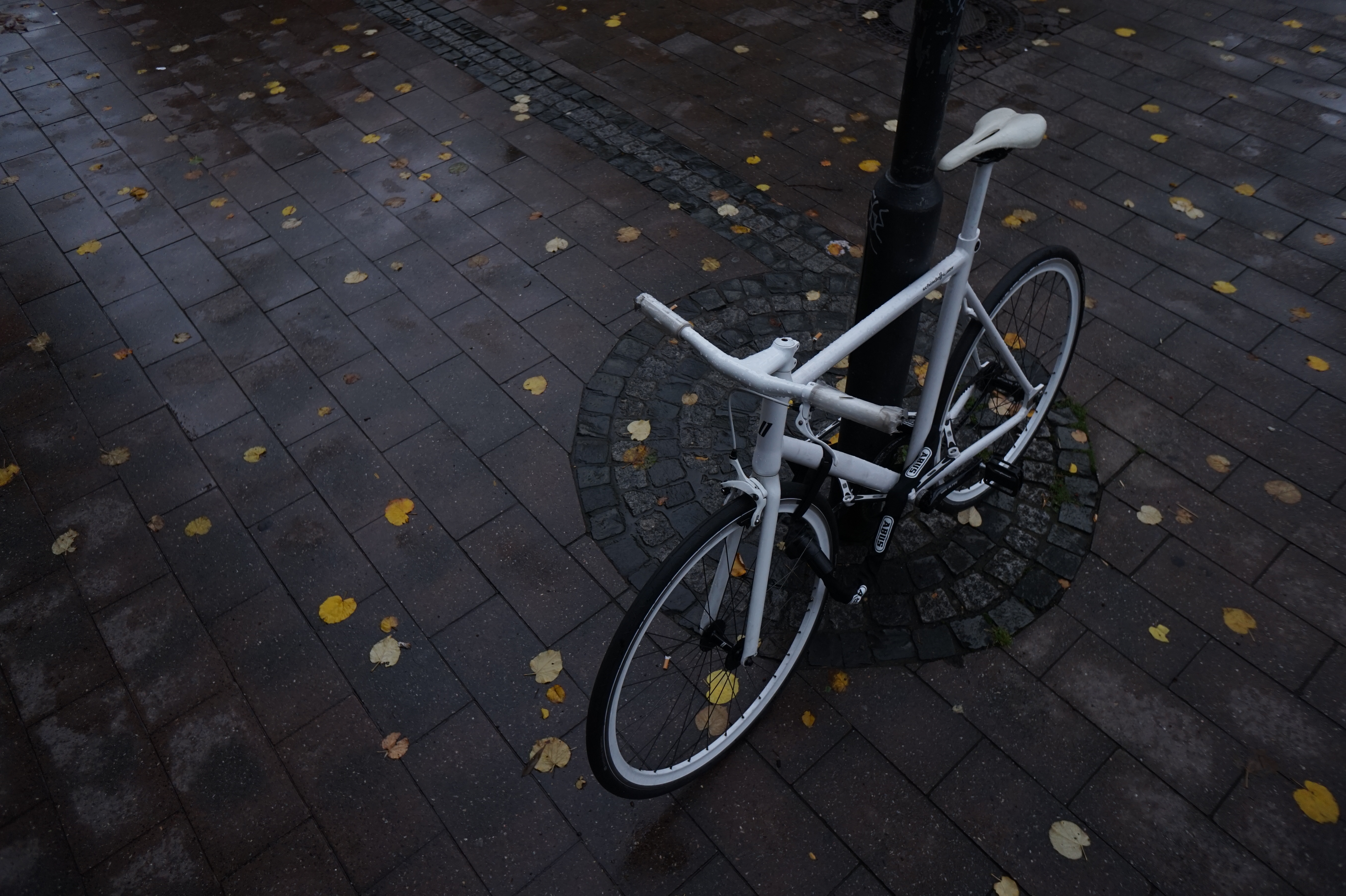 ハイアングルも自由自在。チルトモニターでも確認できないような高さや、手首を曲げた状態でも、構図を確認できる。E16mm F2.8 / 1/400秒 / F4.5 / ISO400 / 絞り優先AE / 16mm