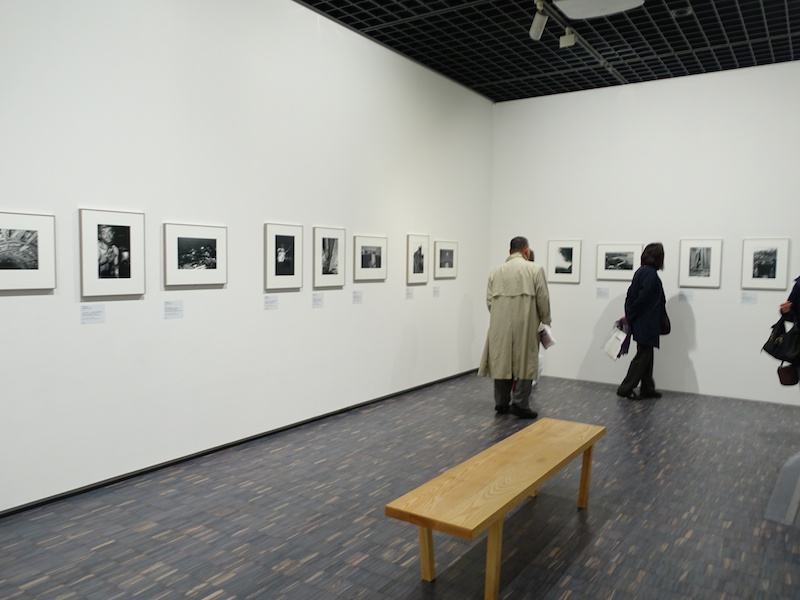 同時開催の所蔵作品展「MOMATコレクション」にも、奈良原氏の「人間の土地」が展示されている