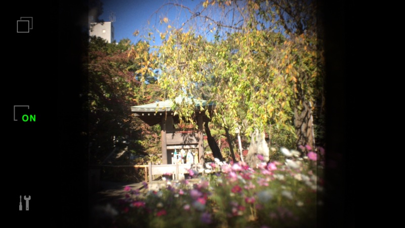 ライブビューモードでは露出の自動補正が可能。露出補正ボタンをONにして任意の場所をタップする