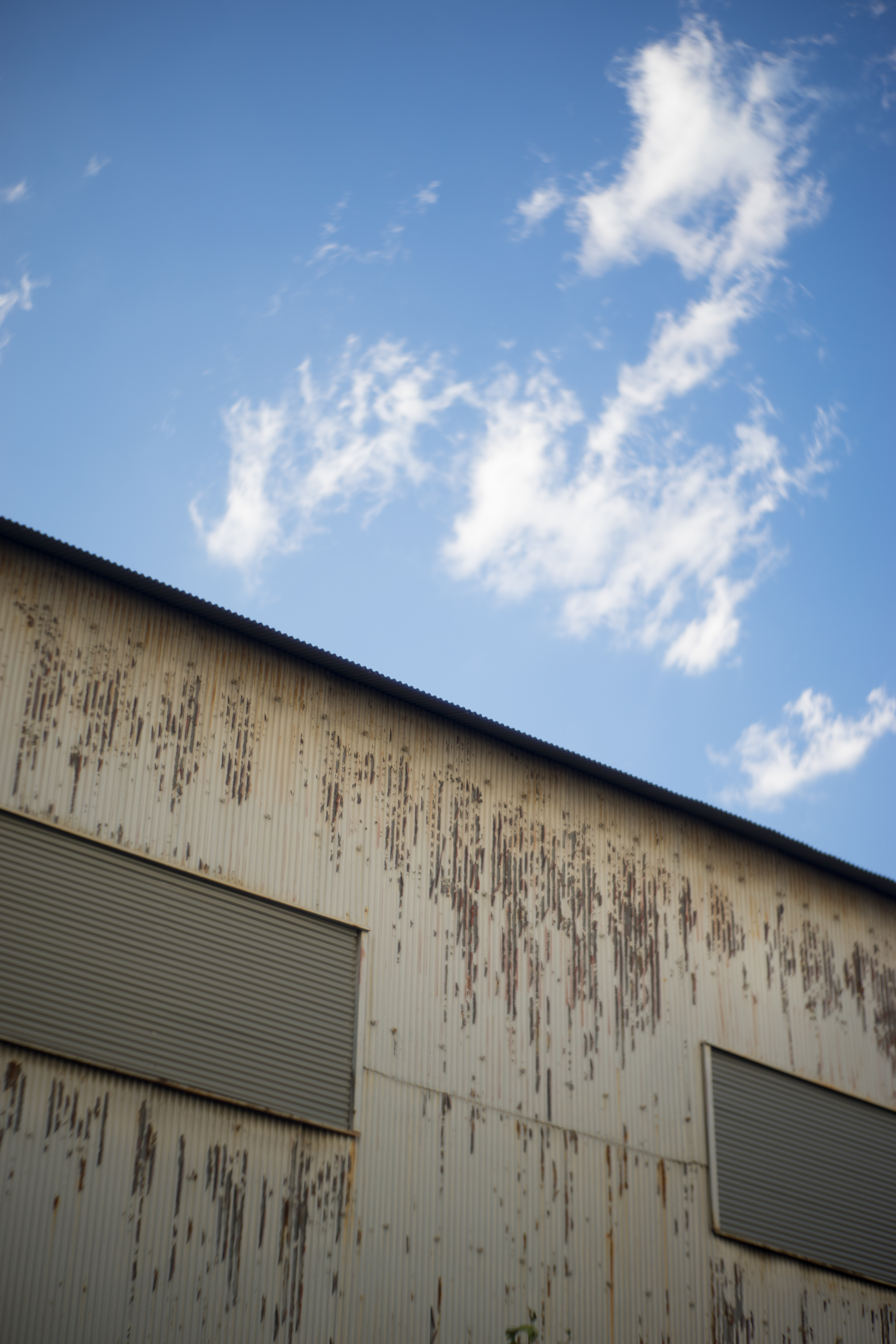 α7 / Primoplan 58mm F1.9 V / 1/1,600秒 / F1.9 / +1.3EV / ISO100 / WB:オート