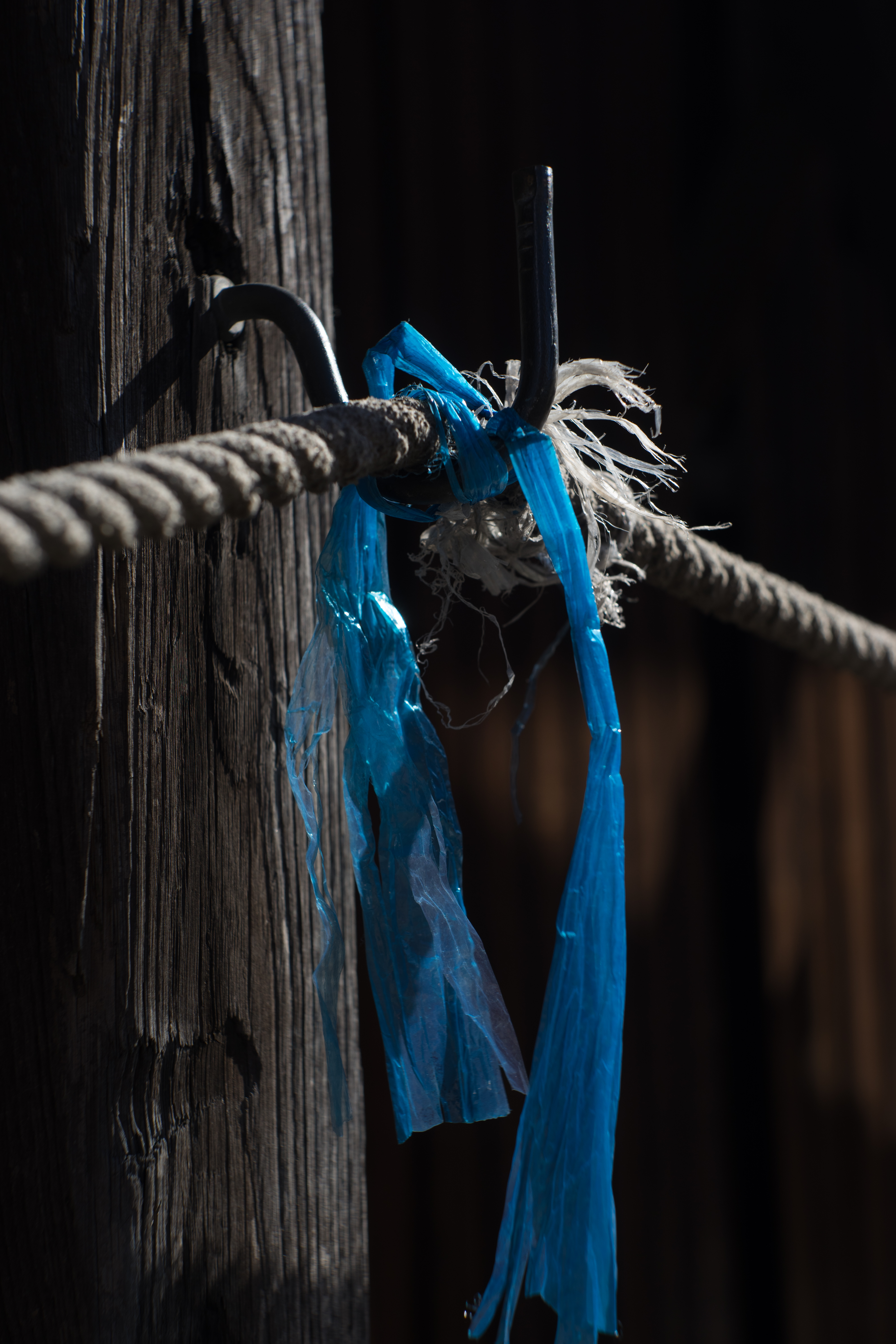 α7 / Primoplan 58mm F1.9 V / 1/640秒 / F5.6 / -1.3EV / ISO100 / WB:オート