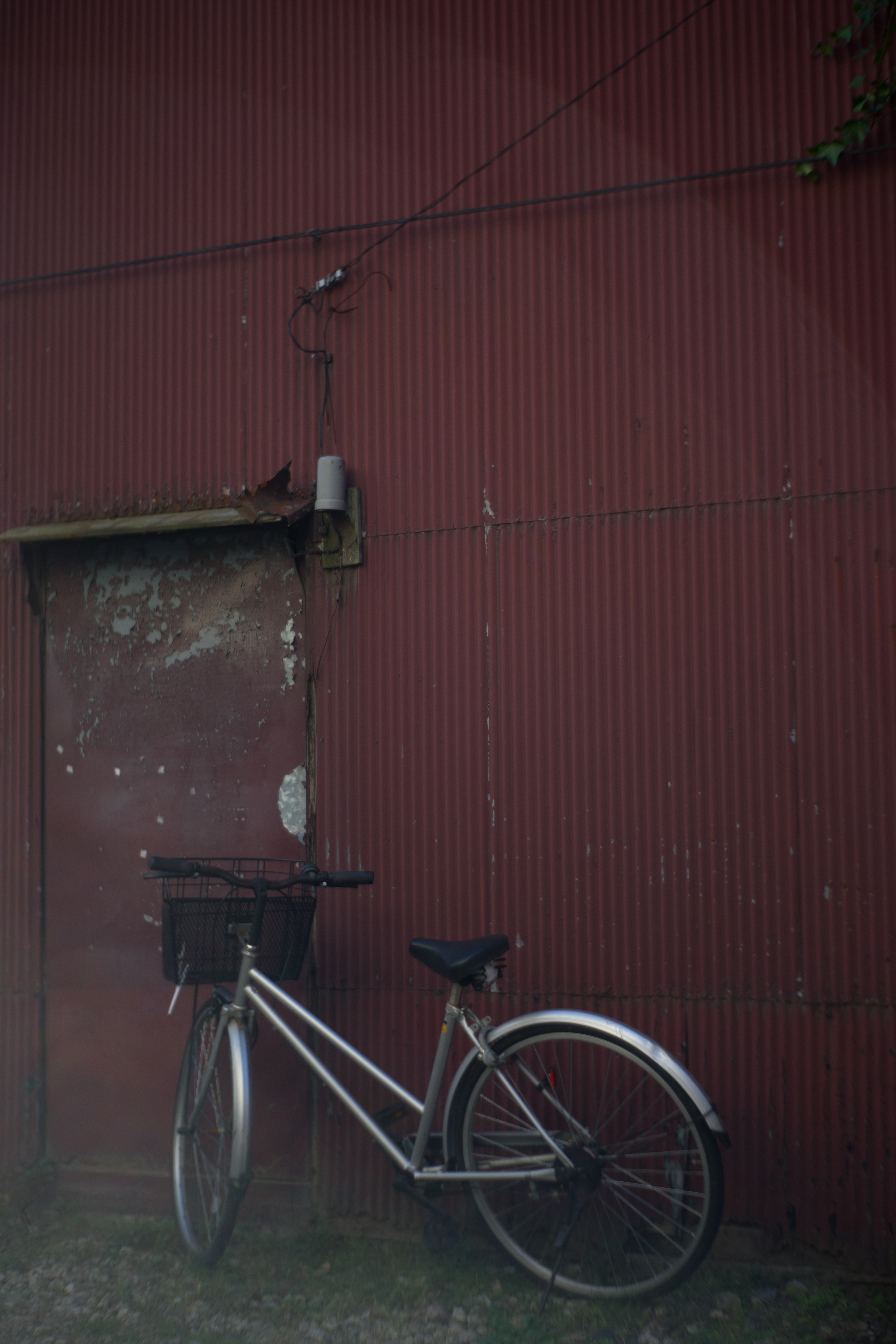 α7 / Primoplan 58mm F1.9 V / 1/800秒 / F1.9 / -1.3EV / ISO100 / WB:オート