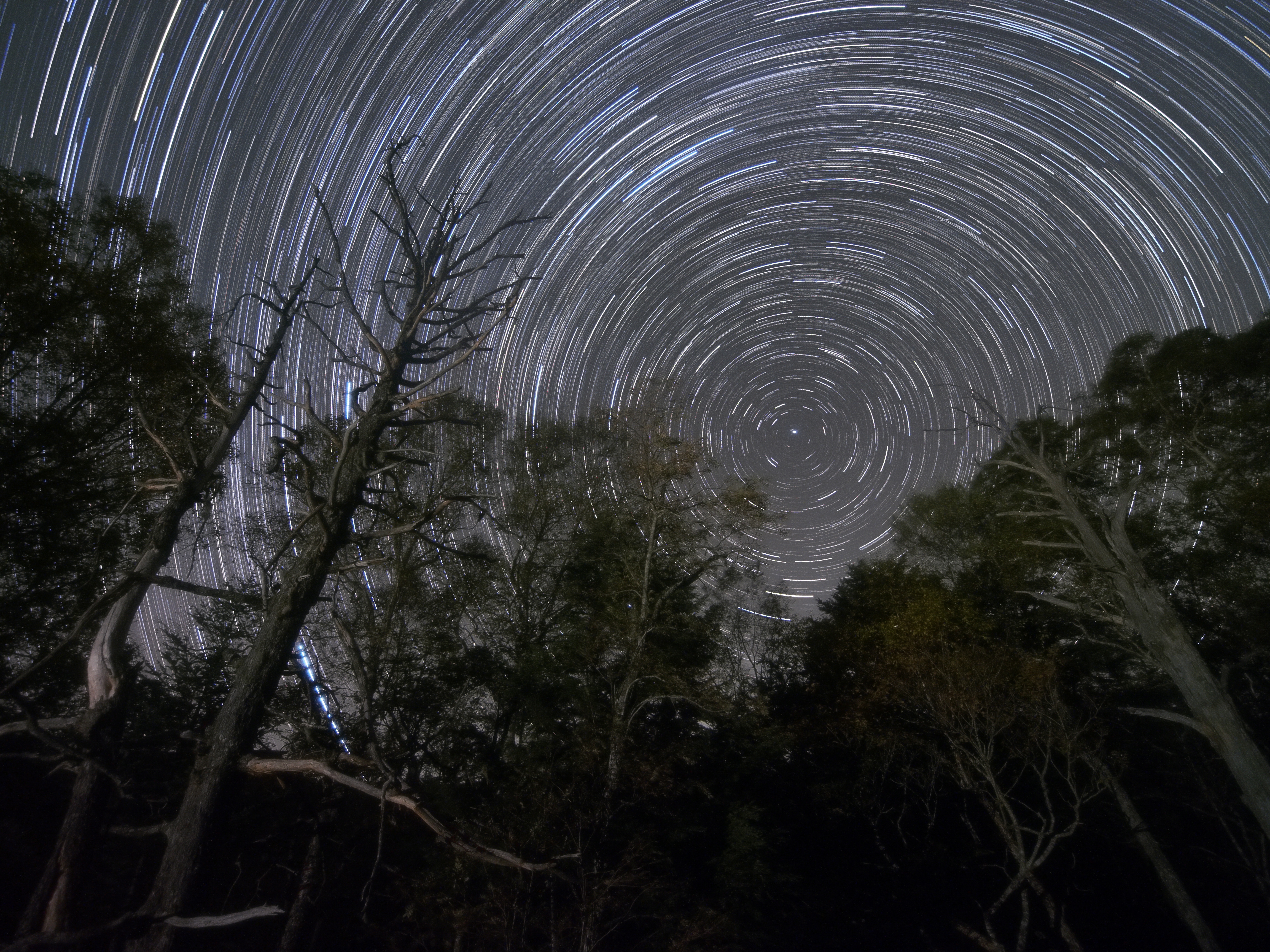 マニュアル60秒で連写した60コマを、比較明合成専用ソフトで仕上げた。これはRAWで撮影し、現像で仕上げたJPEGから合成している。色味を控えめにして、深夜の森の静寂感を表現してみた。<br class="">OLYMPUS OM-D E-M5／ZUIKO DIGITAL ED 7-14mm F4.0／ISO3200／F4.0／60秒露光×60コマ比較明合成／7mm／ソフトフィルター使用