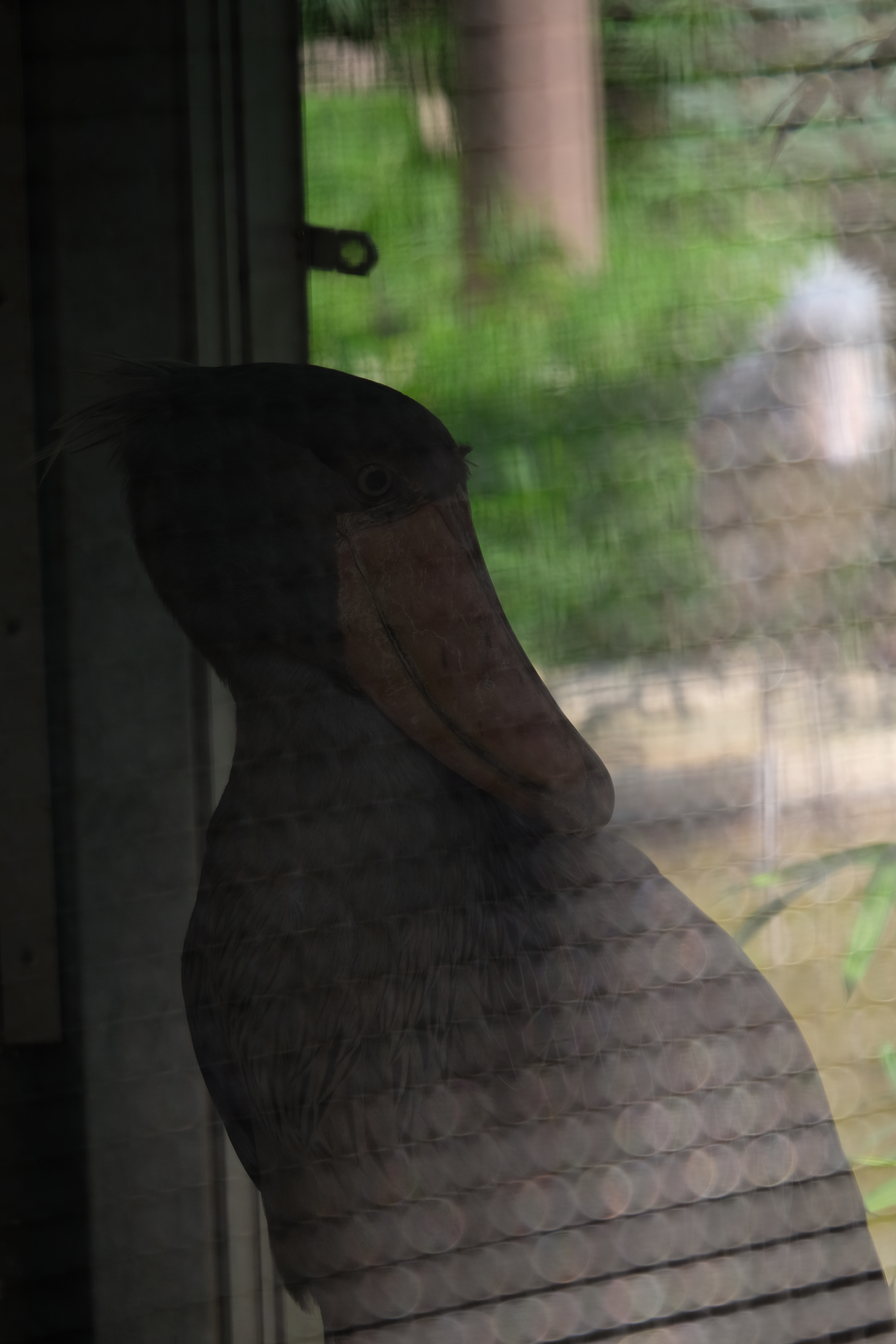 X-T1 / 1/250秒 / F5.6 / -1EV / ISO200 / 122.6mm