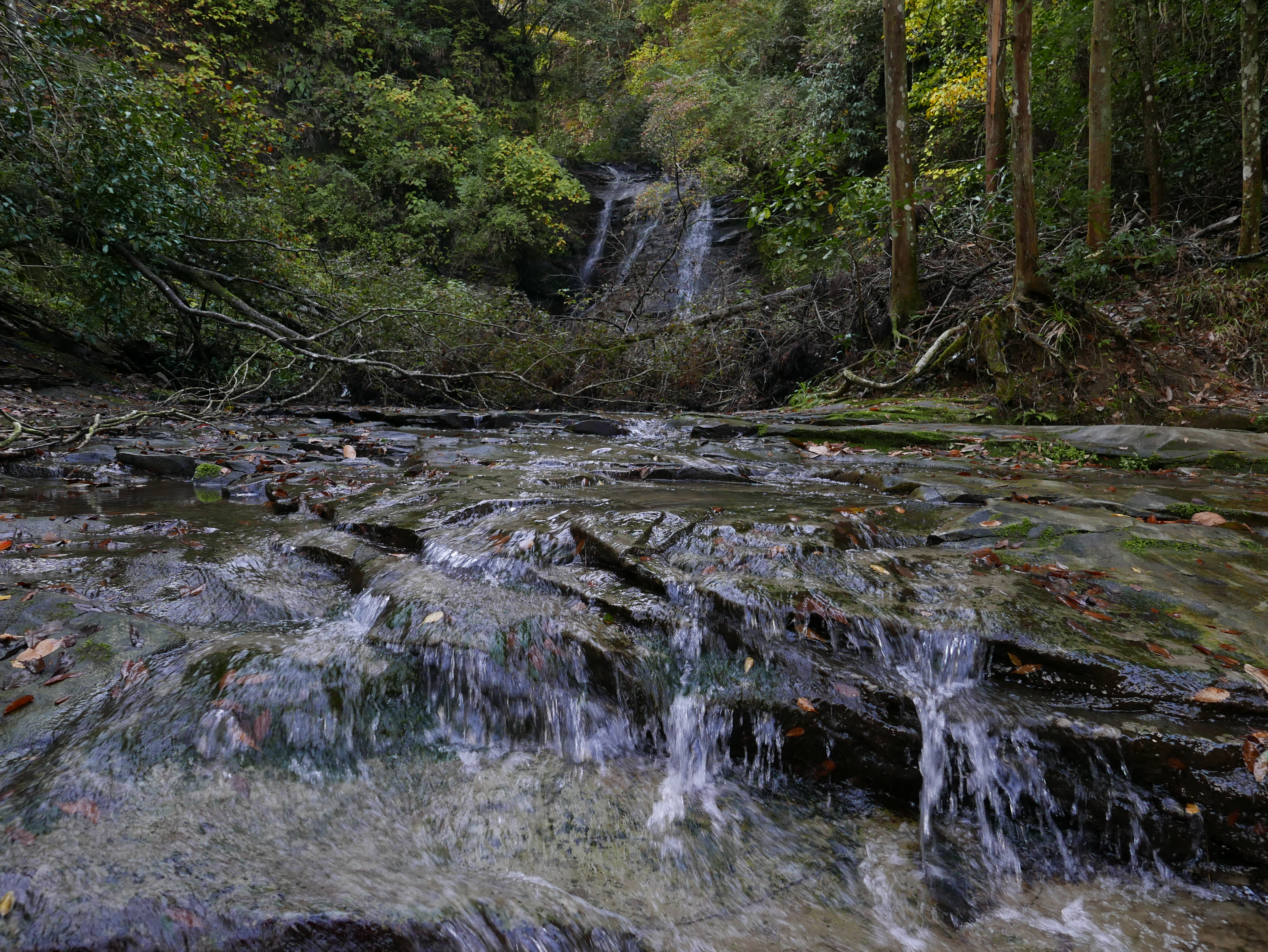 LUMIX LX100・絞り優先AE（絞りF4.0・1/160秒）・−1EV補正・WBオート・ISO200・JPEG