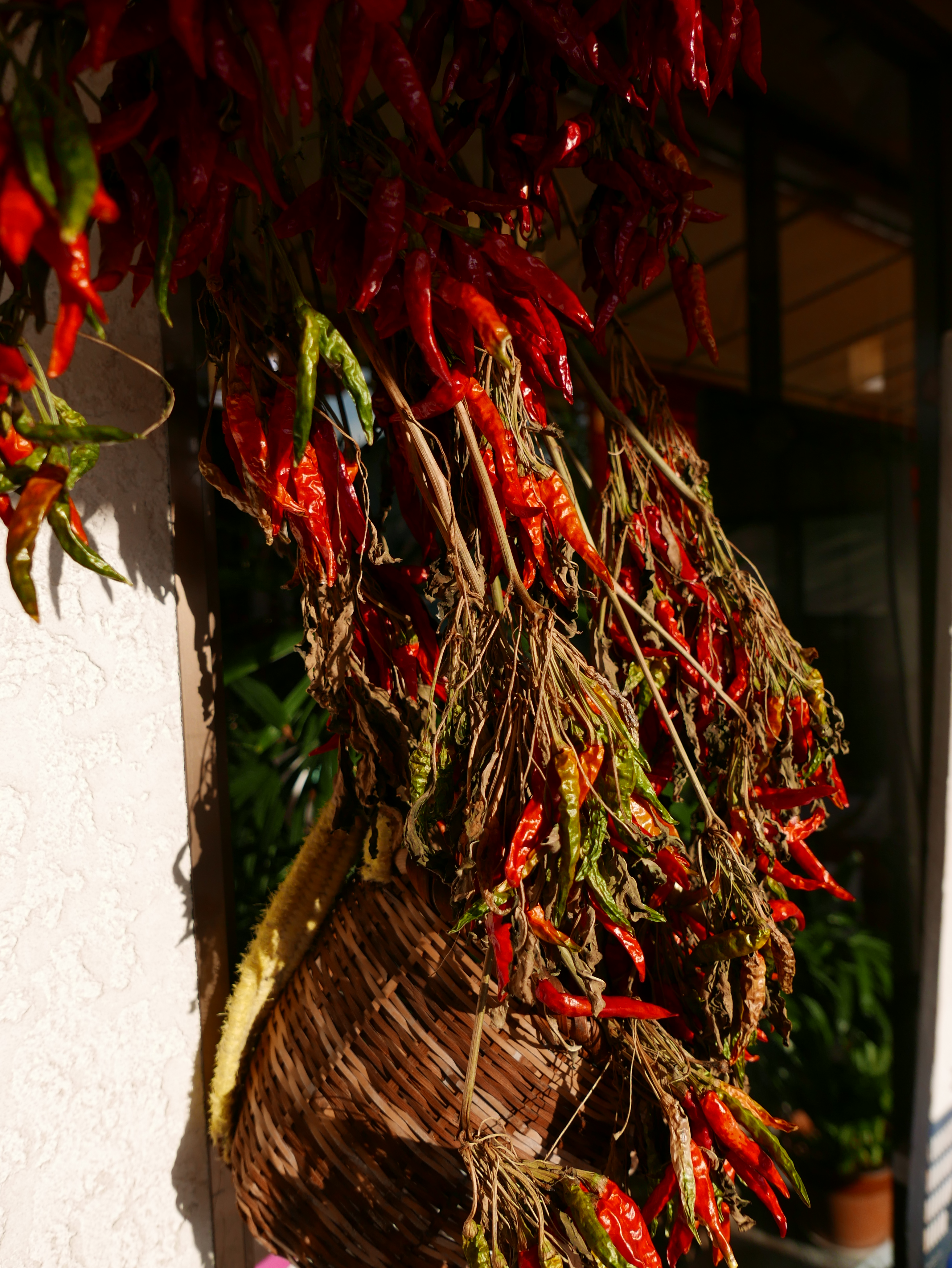 LUMIX LX100・絞り優先AE（絞りF2.8・1/2,000秒）・−1/3EV補正・WBオート・ISO200・JPEG