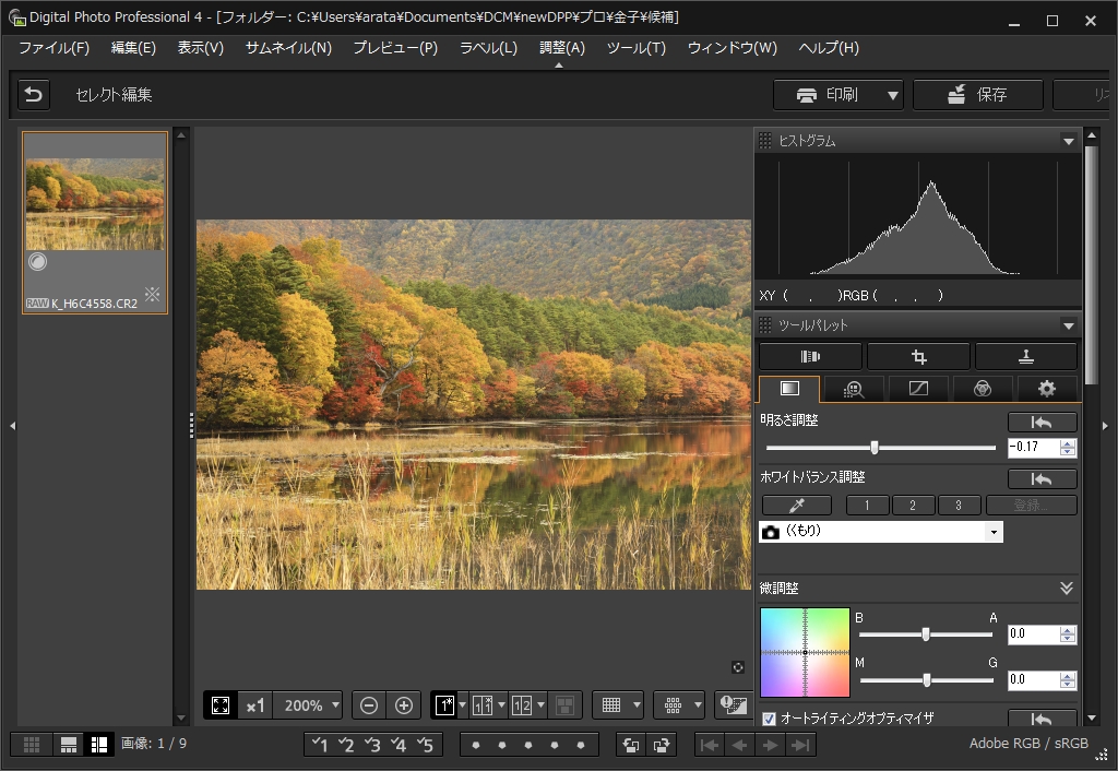 ［基本調整ツールパレット］の［明るさ調整］で明るさを調整。この写真は［-0.17］が適正だった。調整は［ヒストグラムパレット］を参照しながら行う