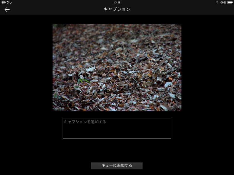 単独表示ではピント位置の変更やLytroのオンラインアルバムへのアップロードが可能