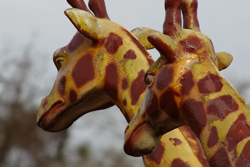 実際に出力したもの