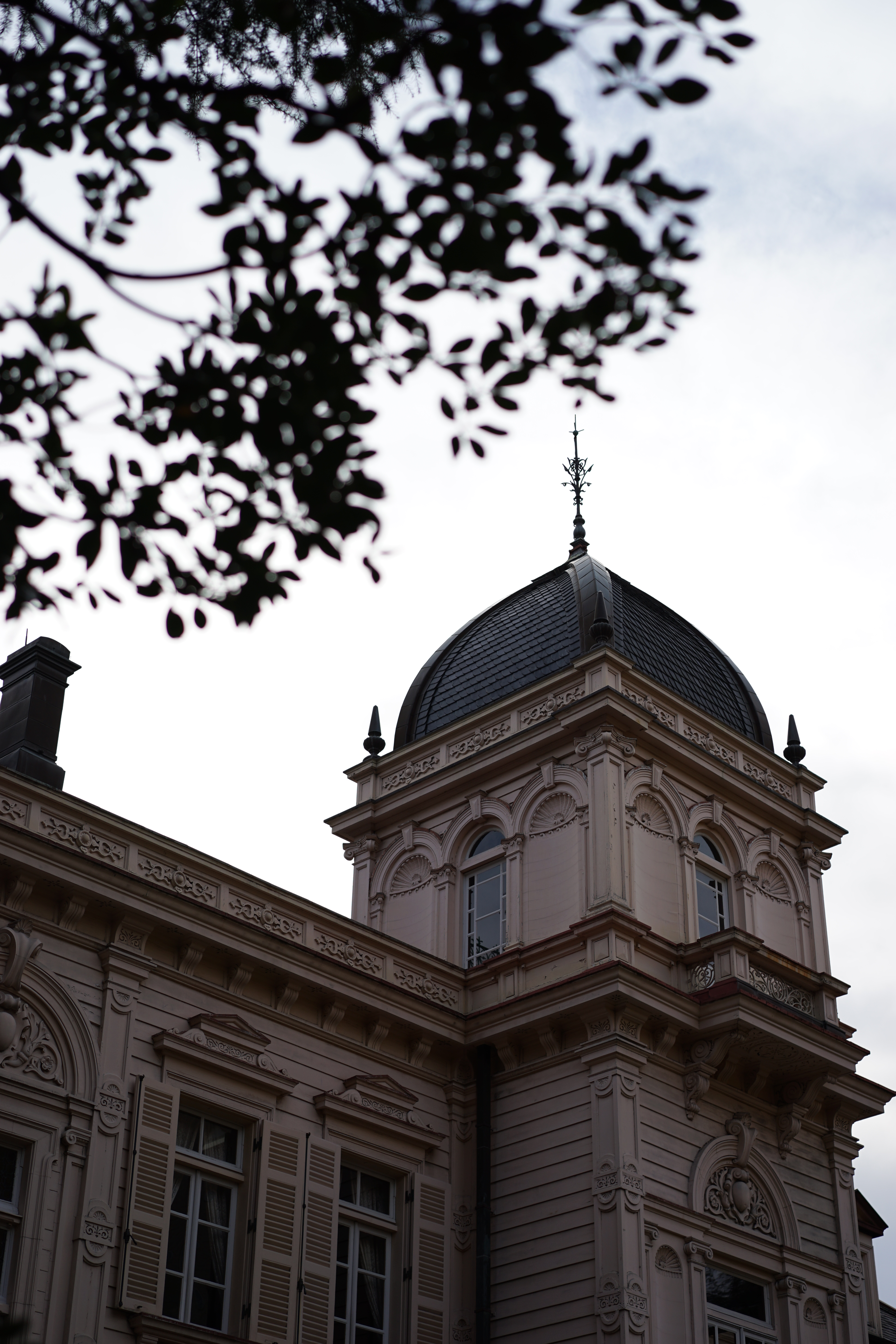 α7 II / Sonnar T* FE 55mm F1.8 ZA / 絞り優先AE / F2.8 / 1/1600秒 / 0EV / ISO100