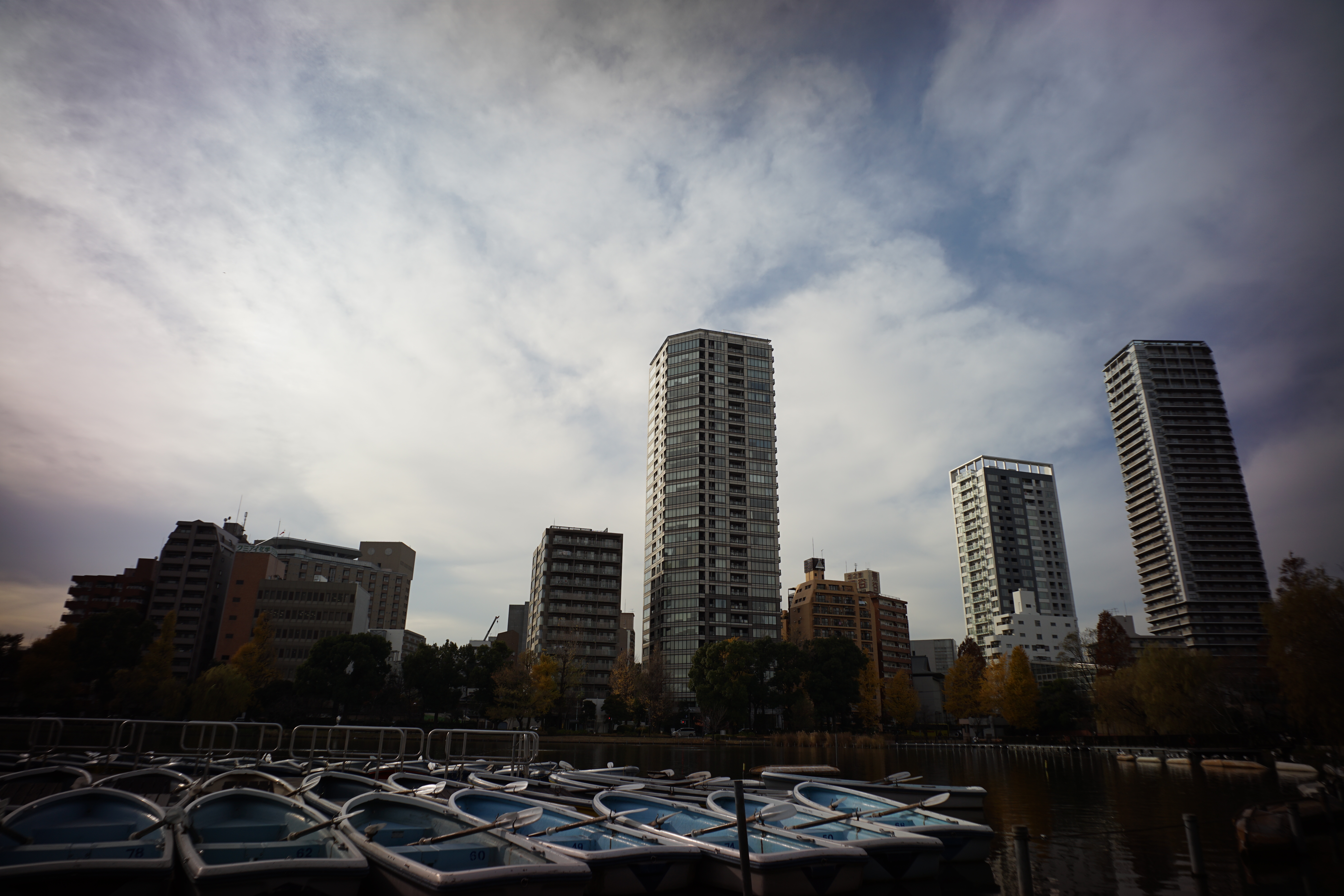 α7 II / G Biogon T* 21mm F2.8 / 絞り優先AE / F8 / 1/400秒 / +0.7EV / ISO100