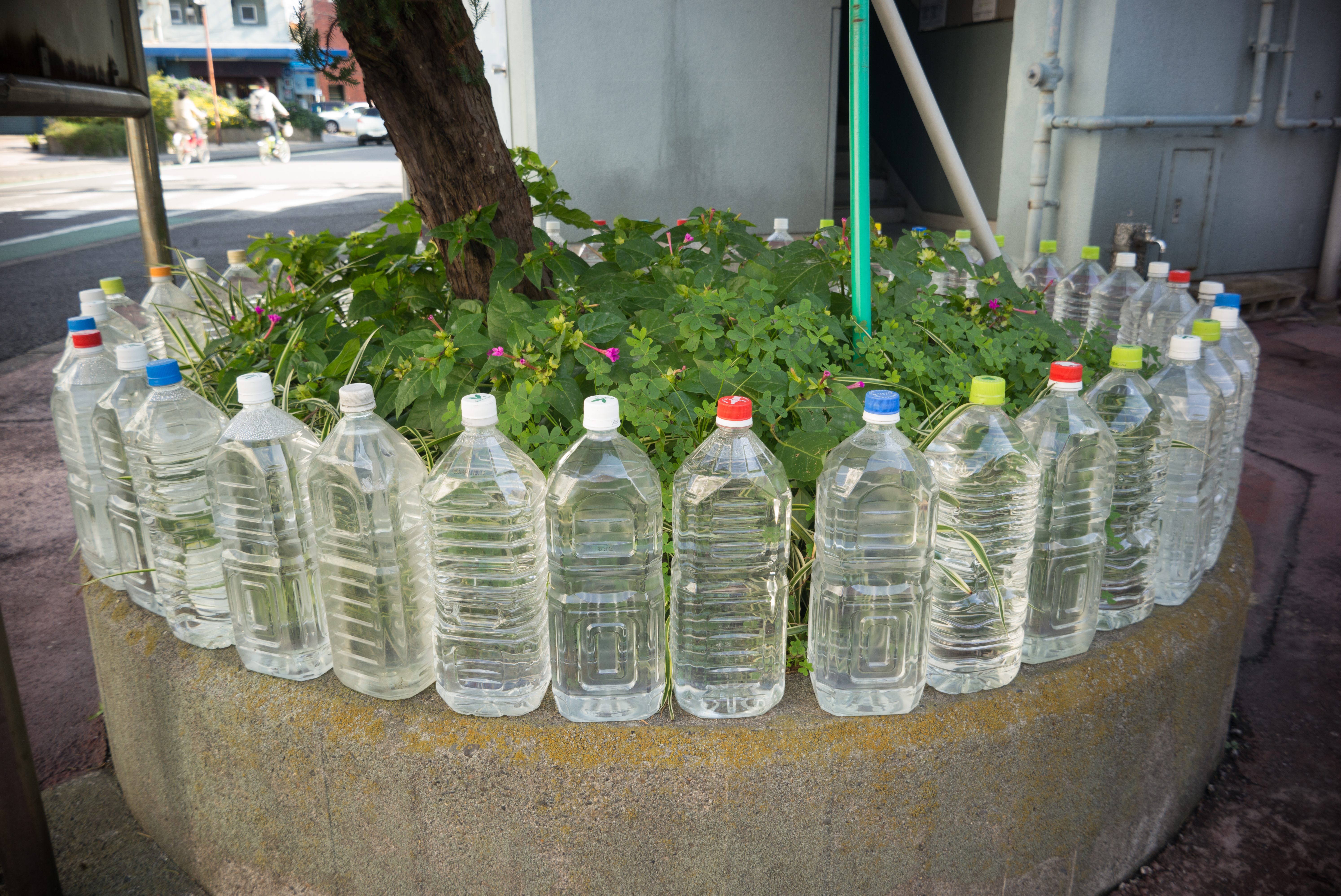 Leica M Typ 240 / Orion-15 28mm F6 /1/30秒 / F8 / 0EV / ISO250 / WB:オート