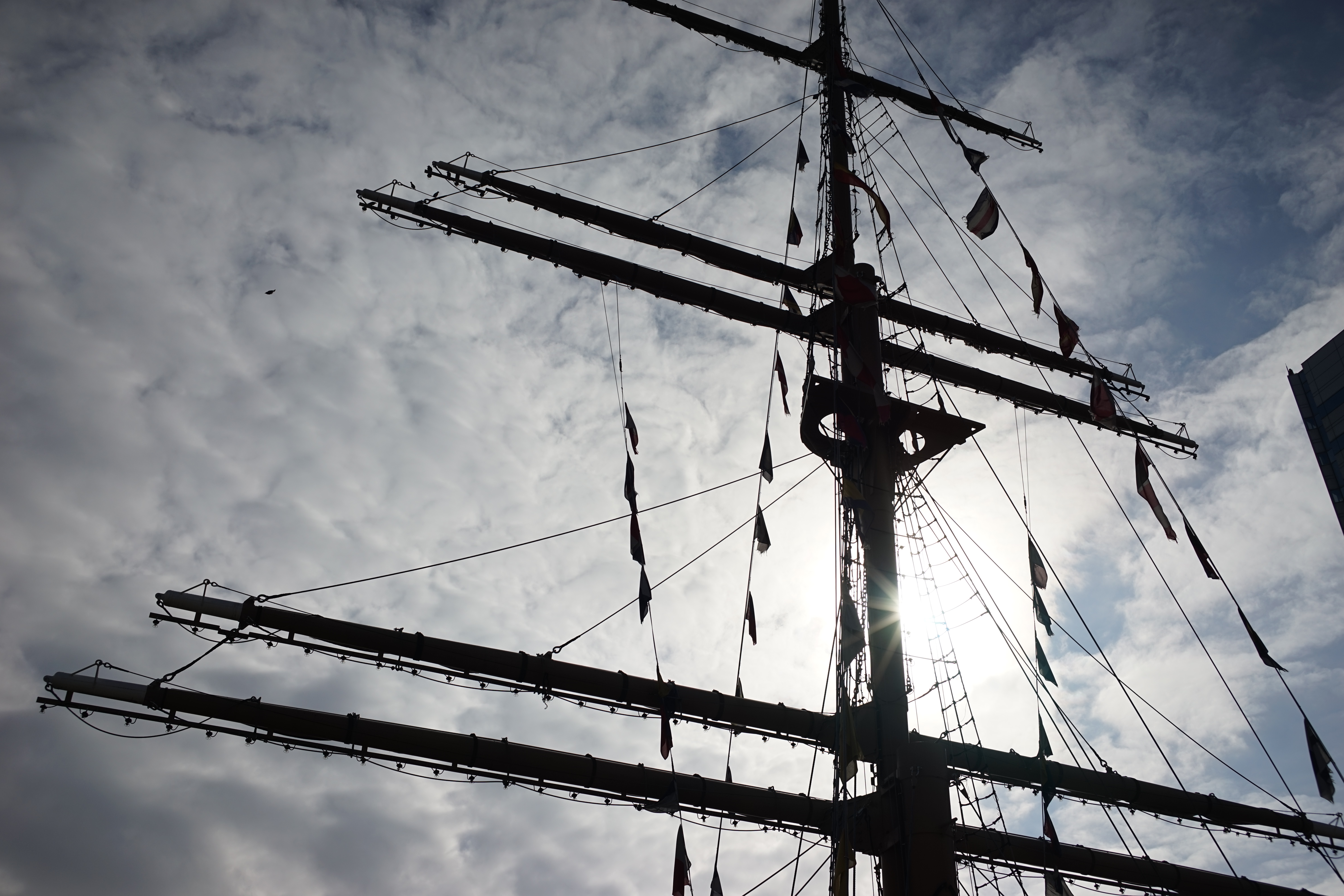 太陽が画面内に入る逆光で撮影。α7 / 1/4,000秒 / F5.6 / 0EV / ISO100 / 絞り優先AE / 35mm