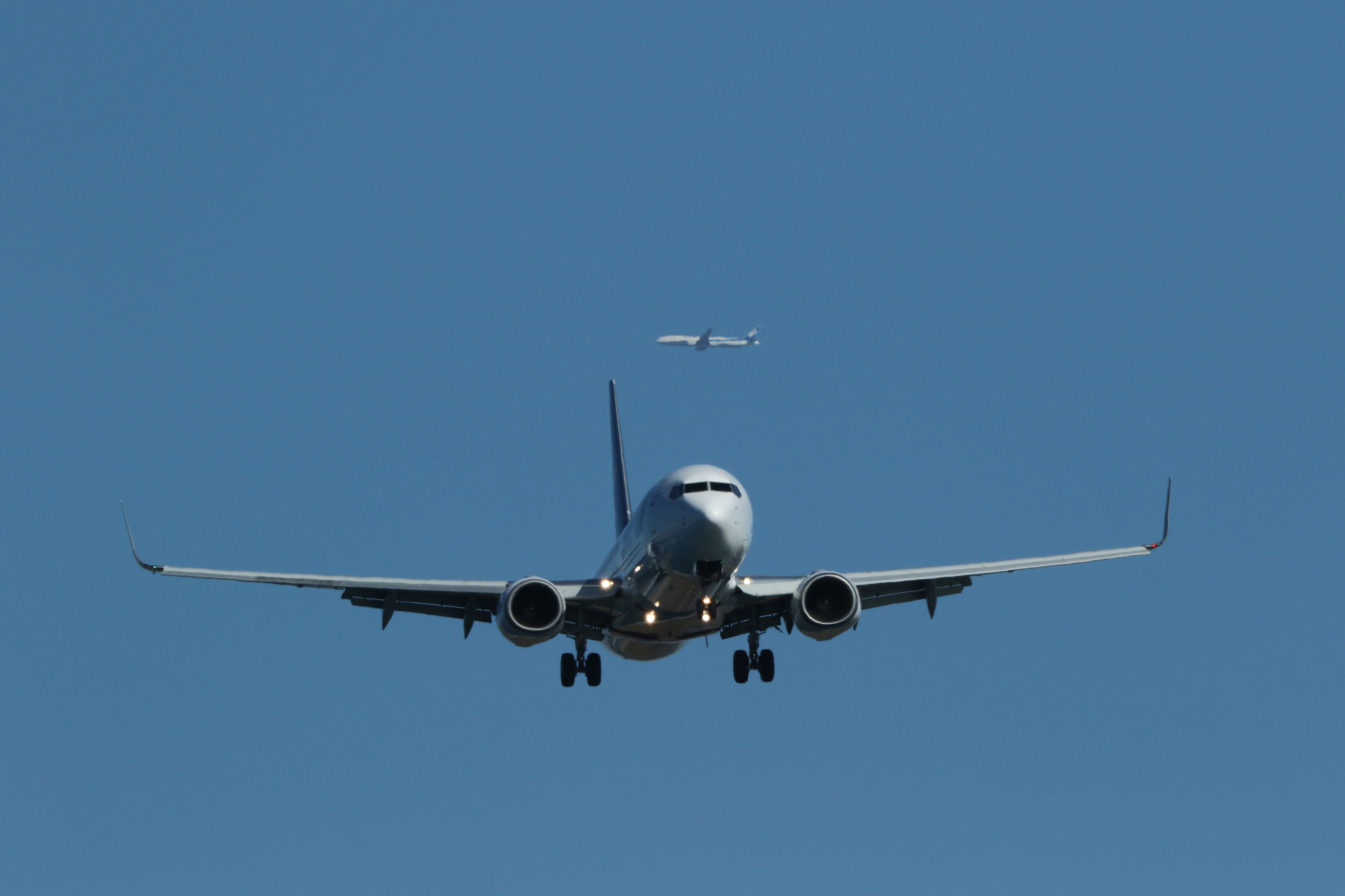 EOS 7D Mark III／EF200-400mm F4L IS USM エクステンダー 1.4×／ISO400／F14／1/1,250／-0.7EV／WB:太陽光／570mm／ジオ・カルマーニュE740を使用