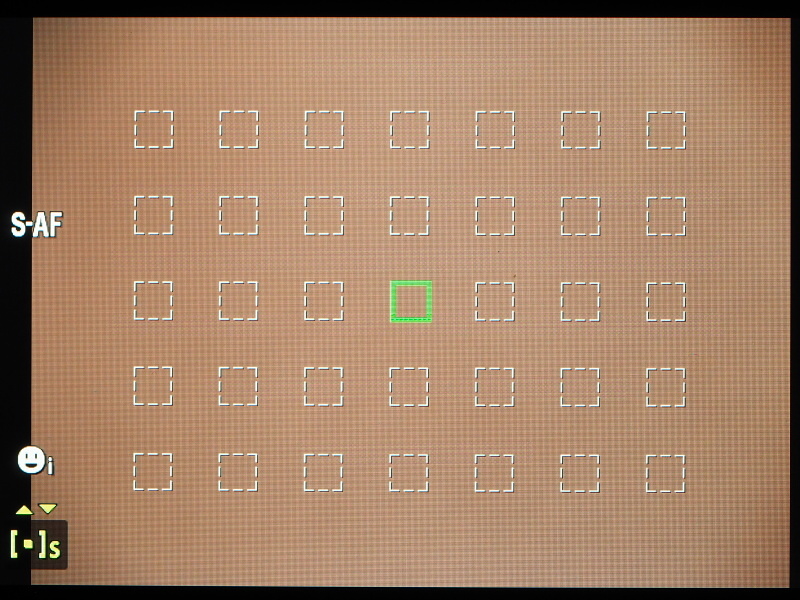 画面内のごく小さな部分のみでAF測距を可能にするスモールAFターゲット。欲を言えば、隙間を埋めて欲しいところだが……