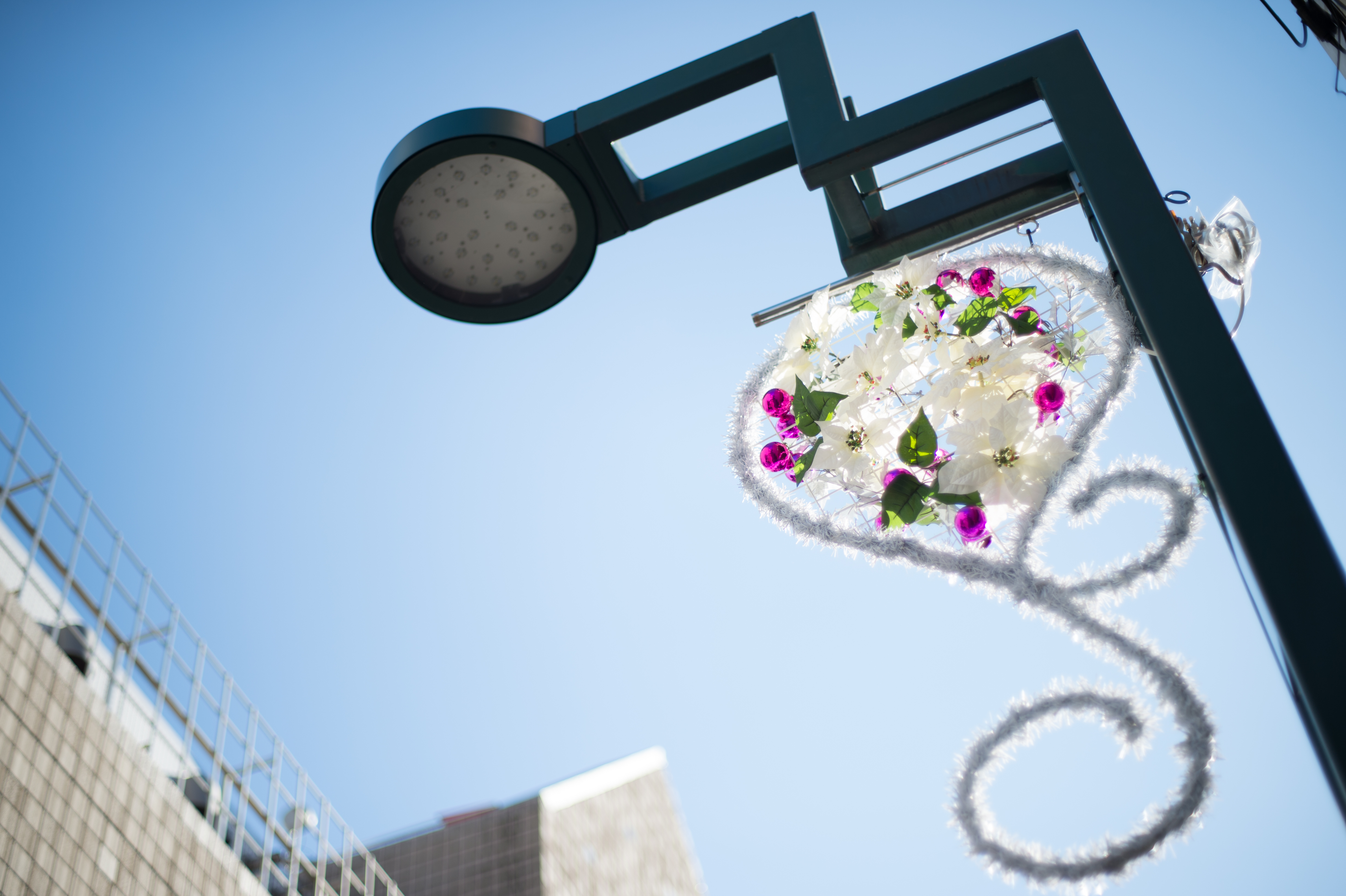 Nikon Df / Planar T* 50mm F1.4 / 1/2,500秒 / F1.4 / +1.33EV / ISO100 / WB:オート