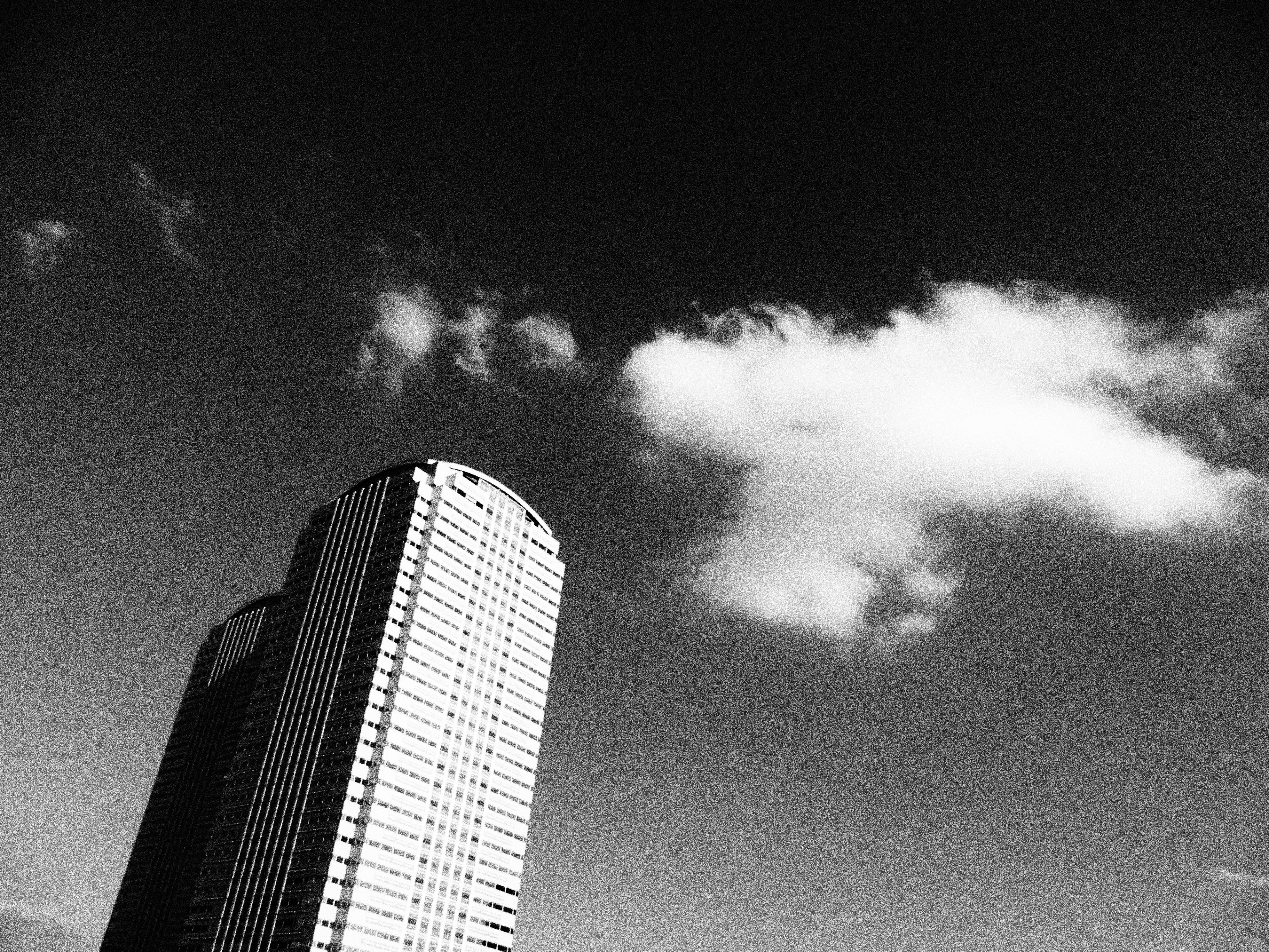 ラフモノクローム