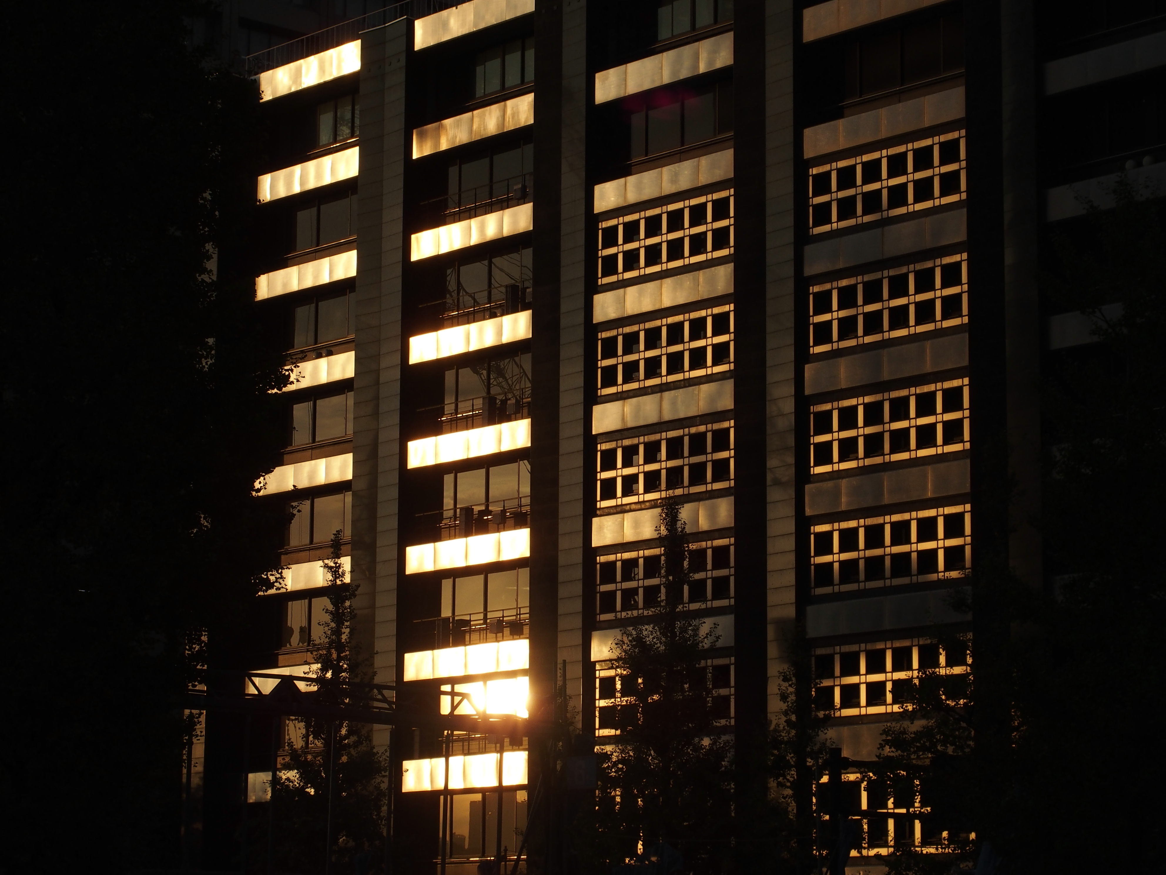 1/800秒 / F4.5 / ISO100 / プログラム / 19.6mm