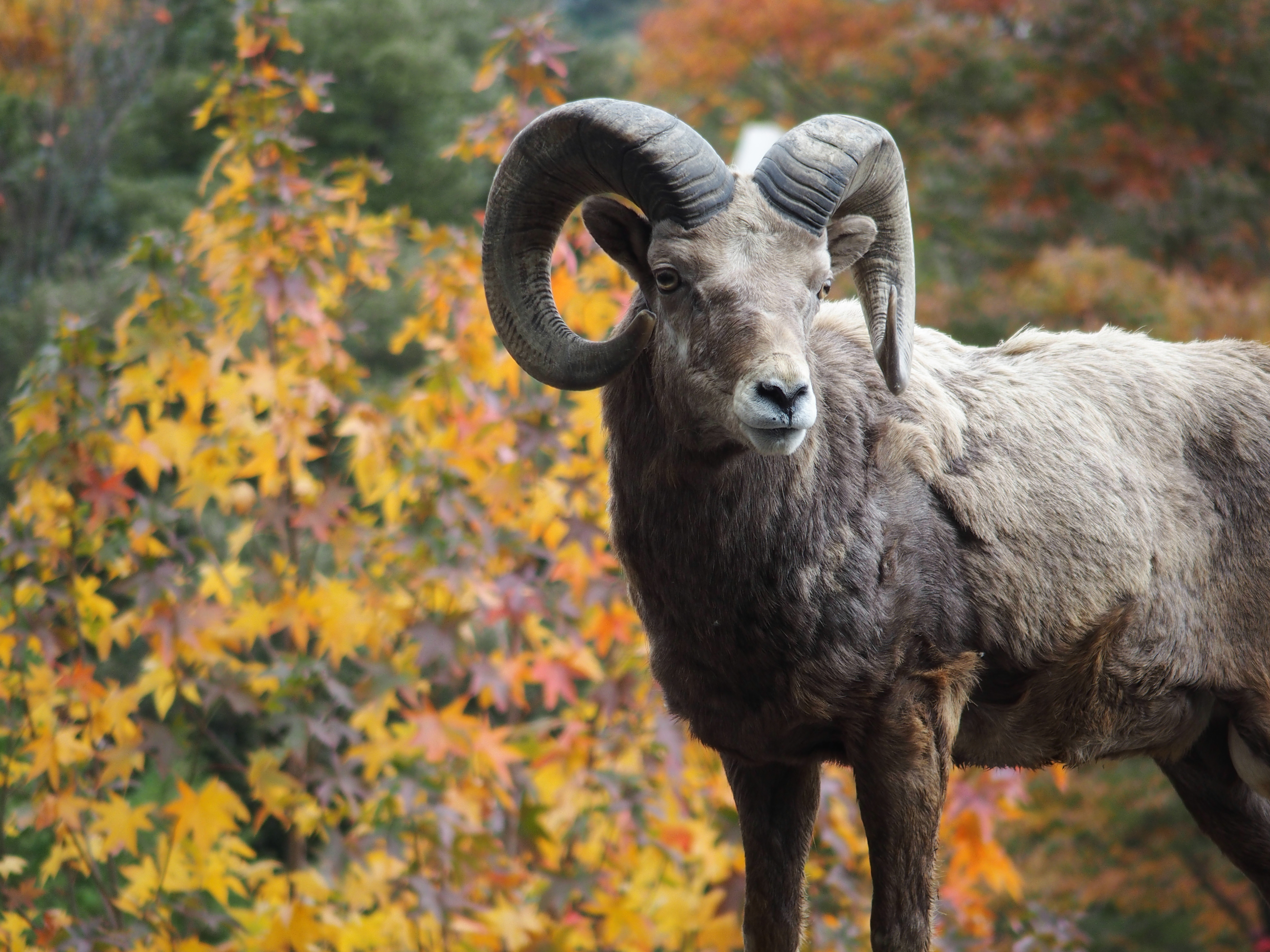 1/320秒 / F2.8 / ISO100 / プログラム / 64.3mm