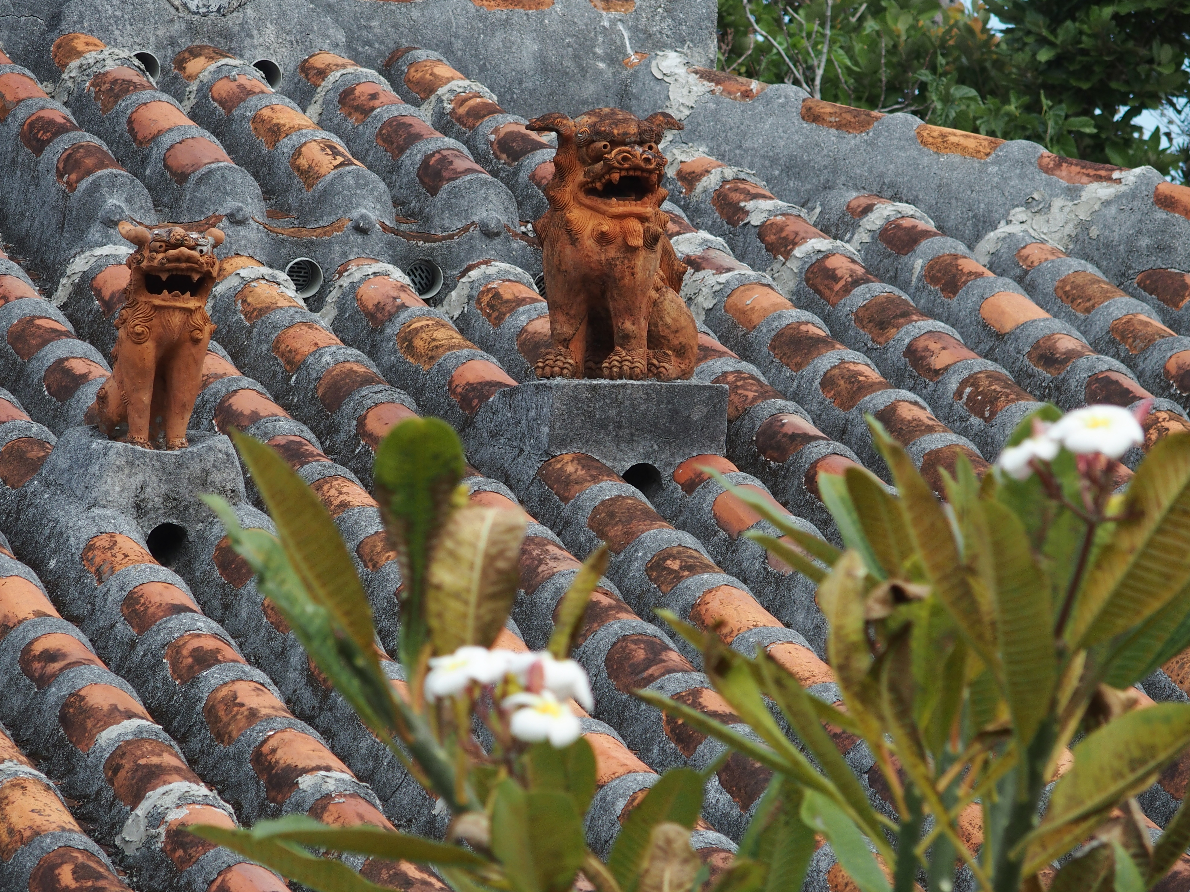 1/800秒 / F3.5 / ISO100 / プログラム / 46.7mm