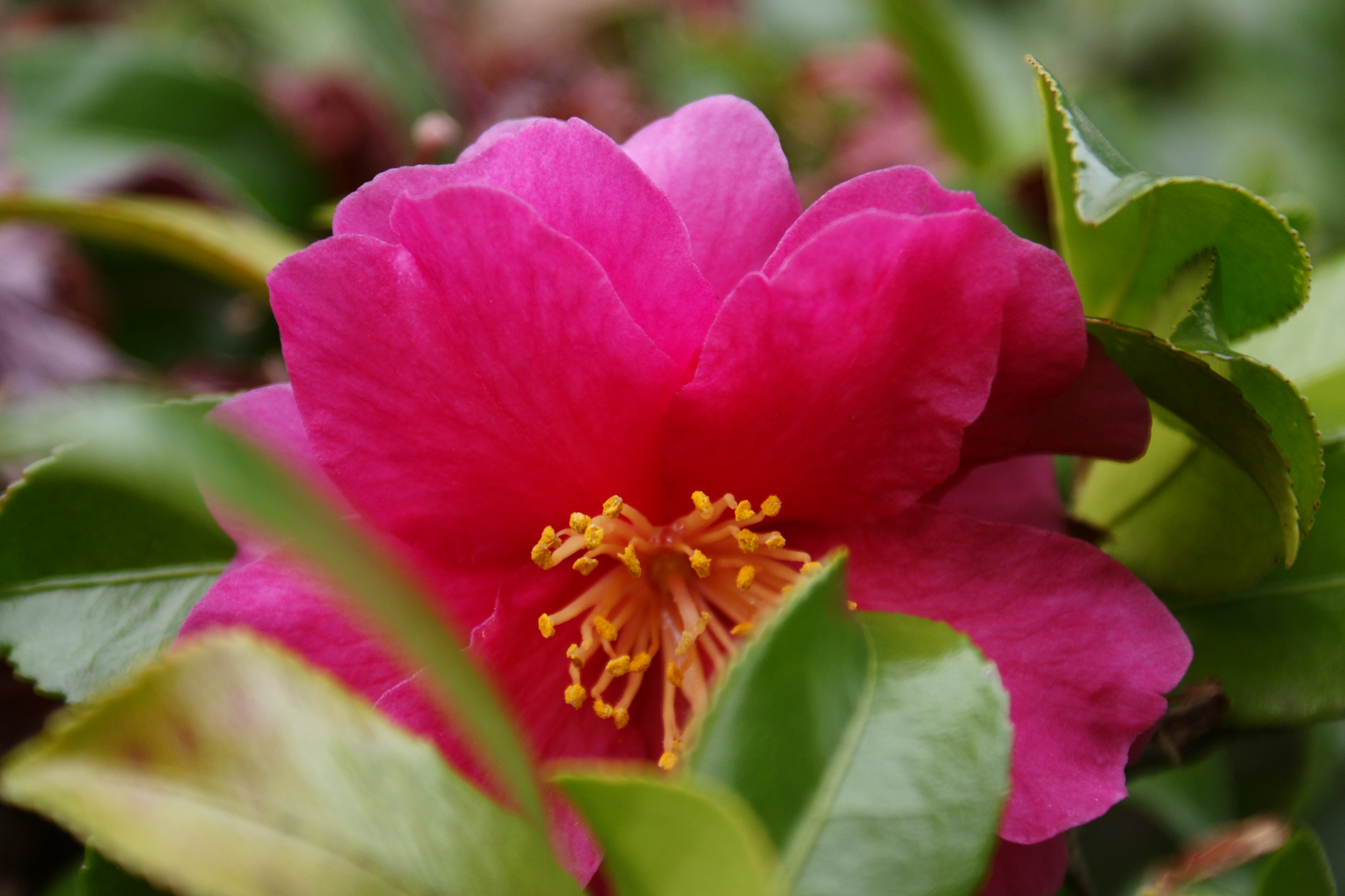 ISO400 / F5.6 / 1/80秒 / ±0EV / 70mm