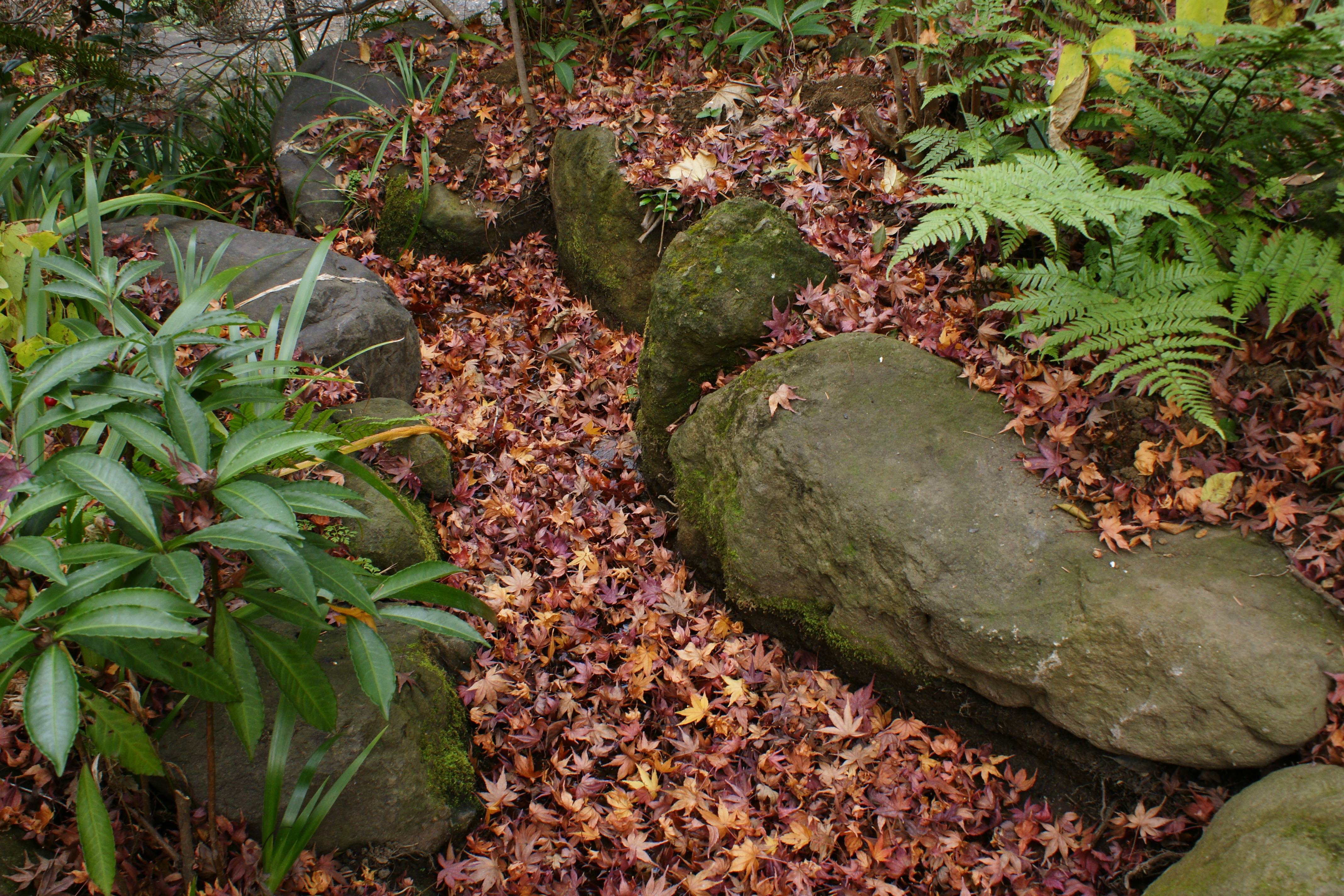 ISO400 / F11 / 1/15秒 / -0.7EV / 20mm