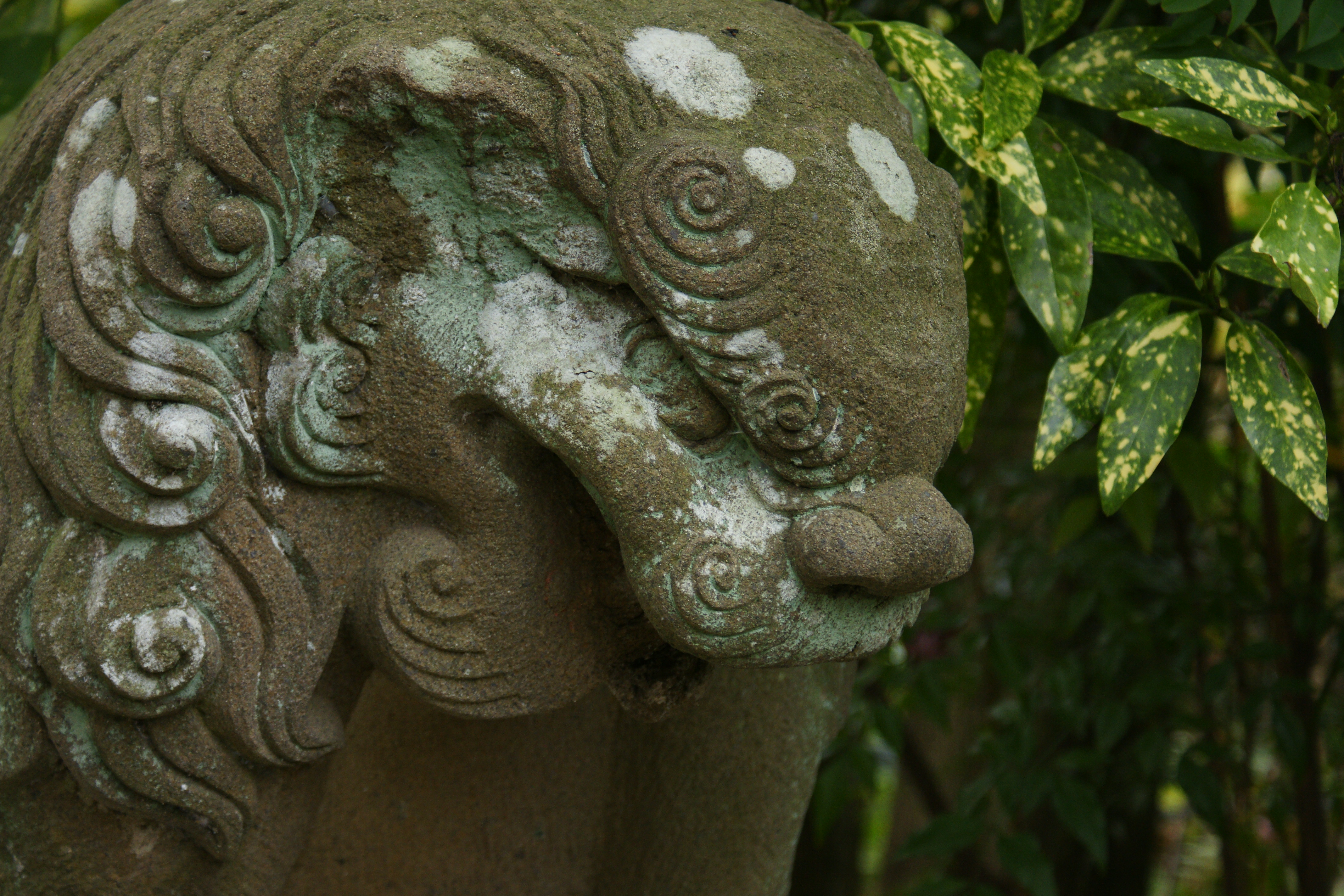 ISO400 / F5.6 / 1/60秒 / -0.7EV / 70mm