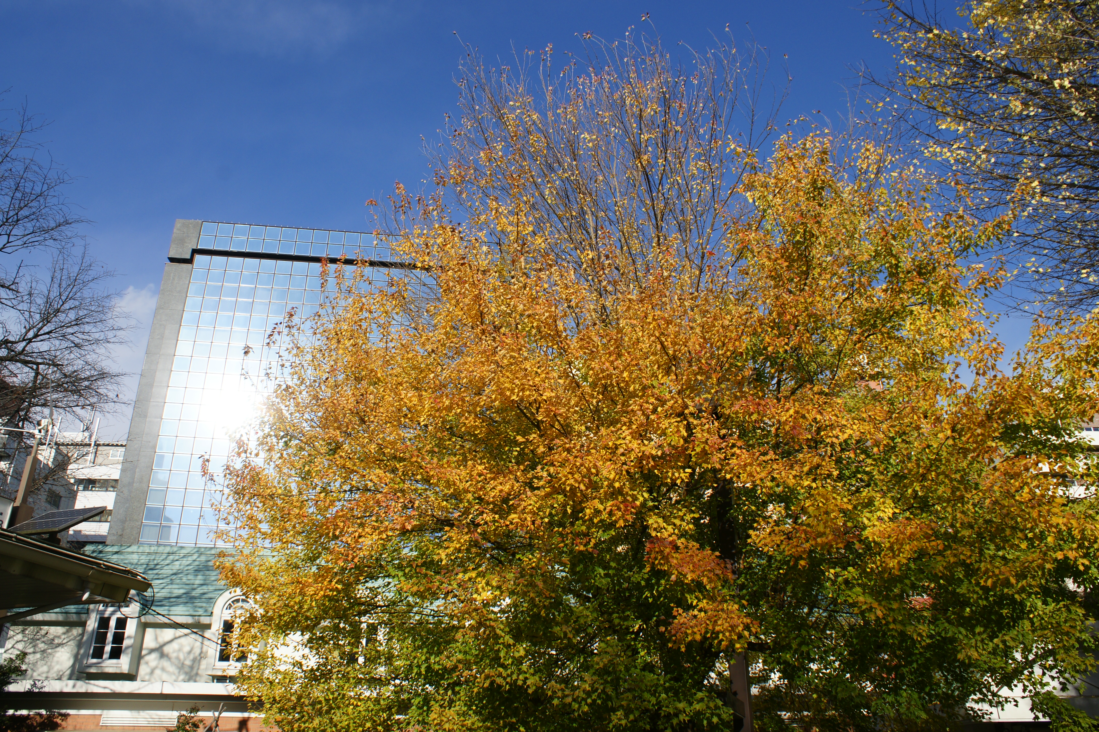 ISO200 / F11 / 1/320秒 / ±0EV / 18mm