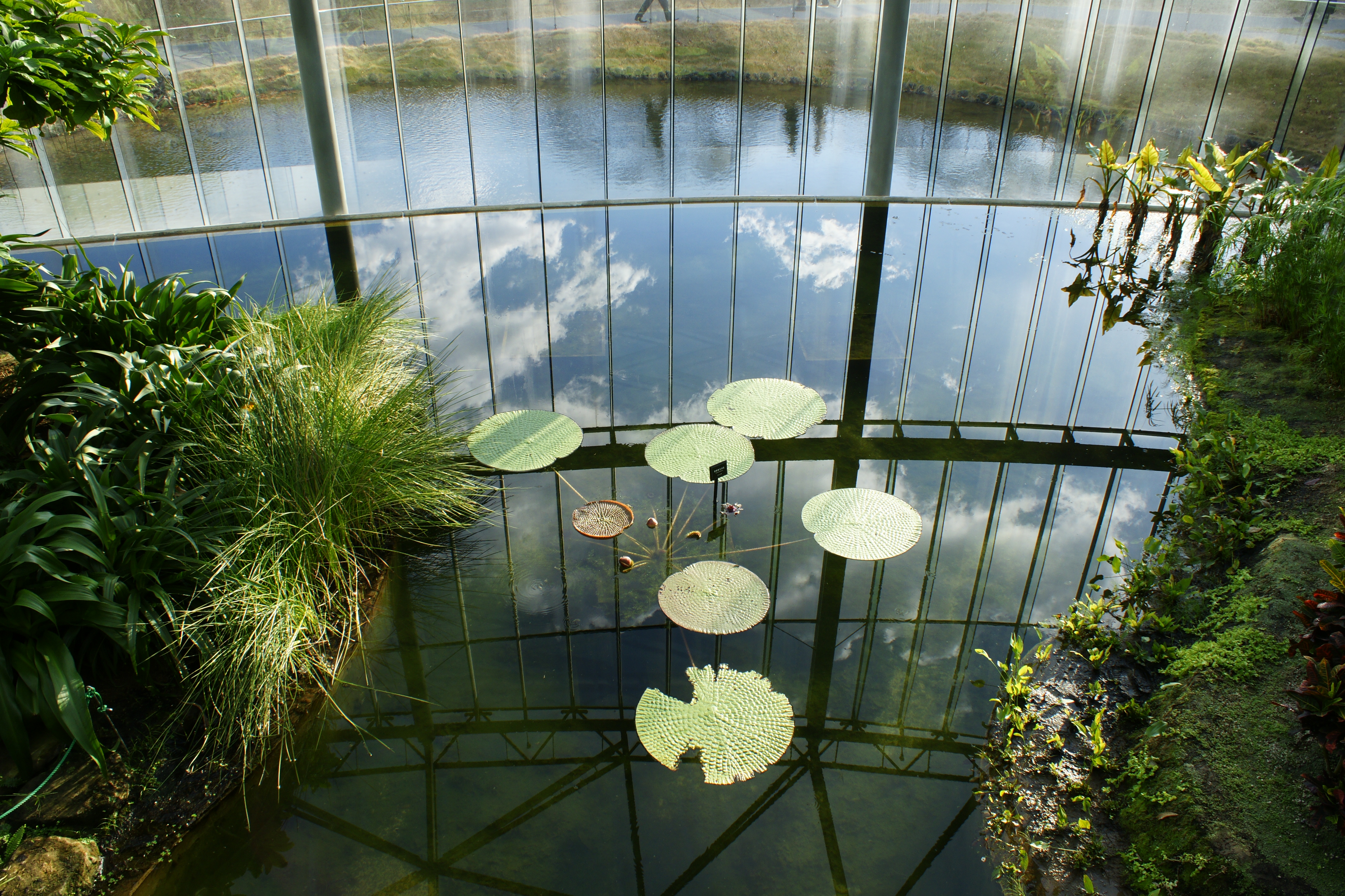 ISO200 / F11 / 1/80秒 / ±0EV / 18mm