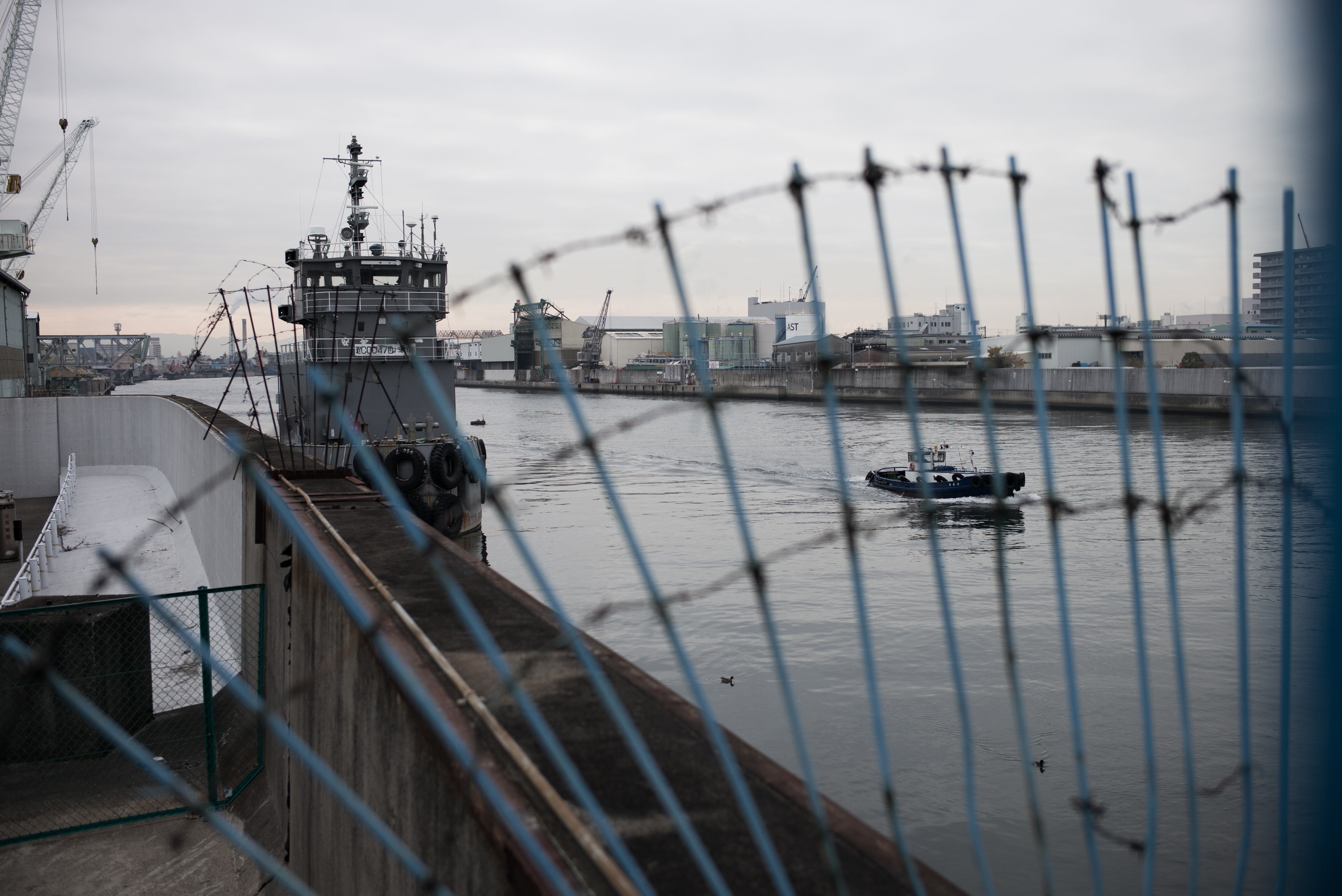 ISO200 / F1.4 / 1/2,000秒。以下の作品はいずれもLightroomで編集・TIFF保存したものをJPEGで掲載しています