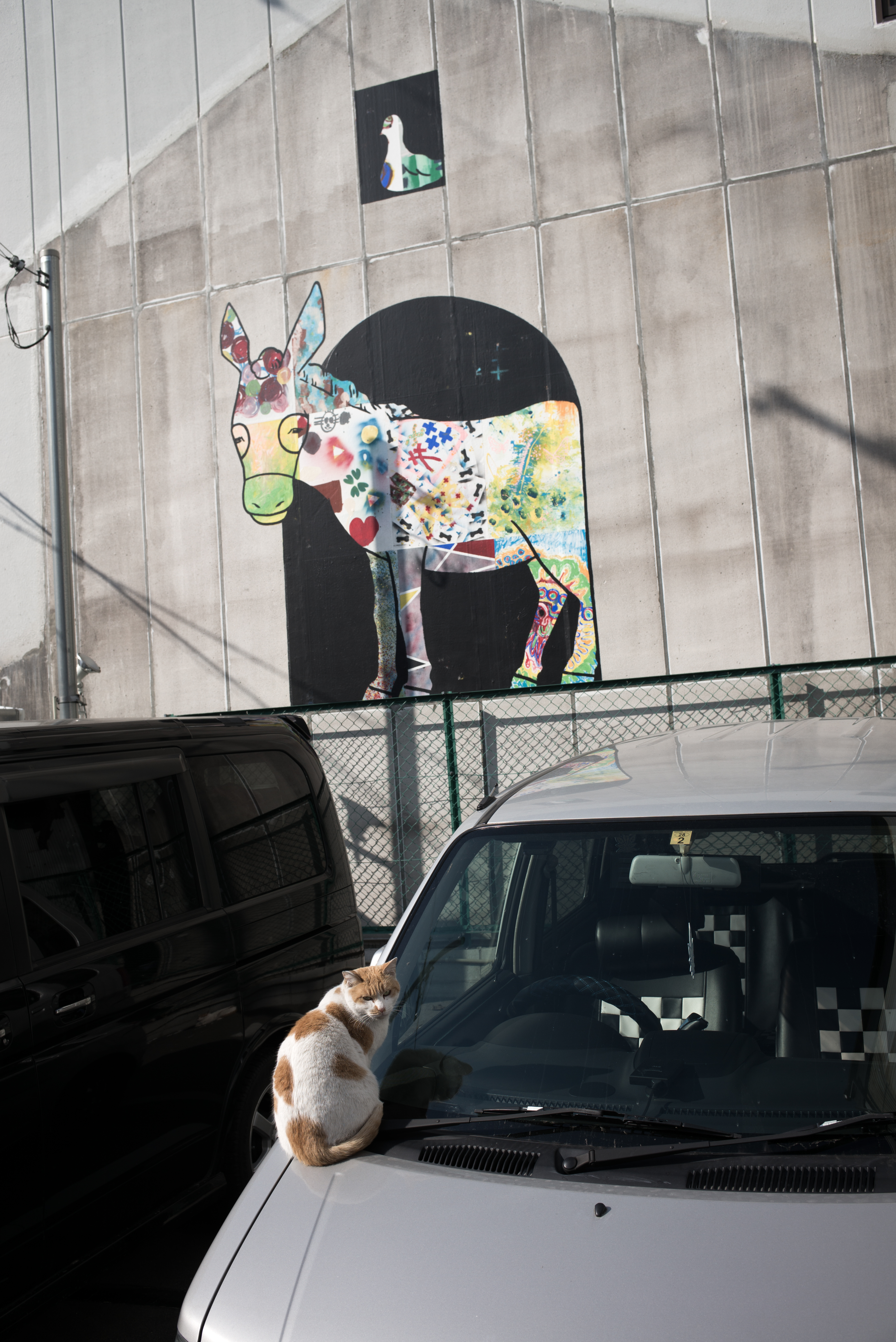 ISO200 / F8 / 1/500秒