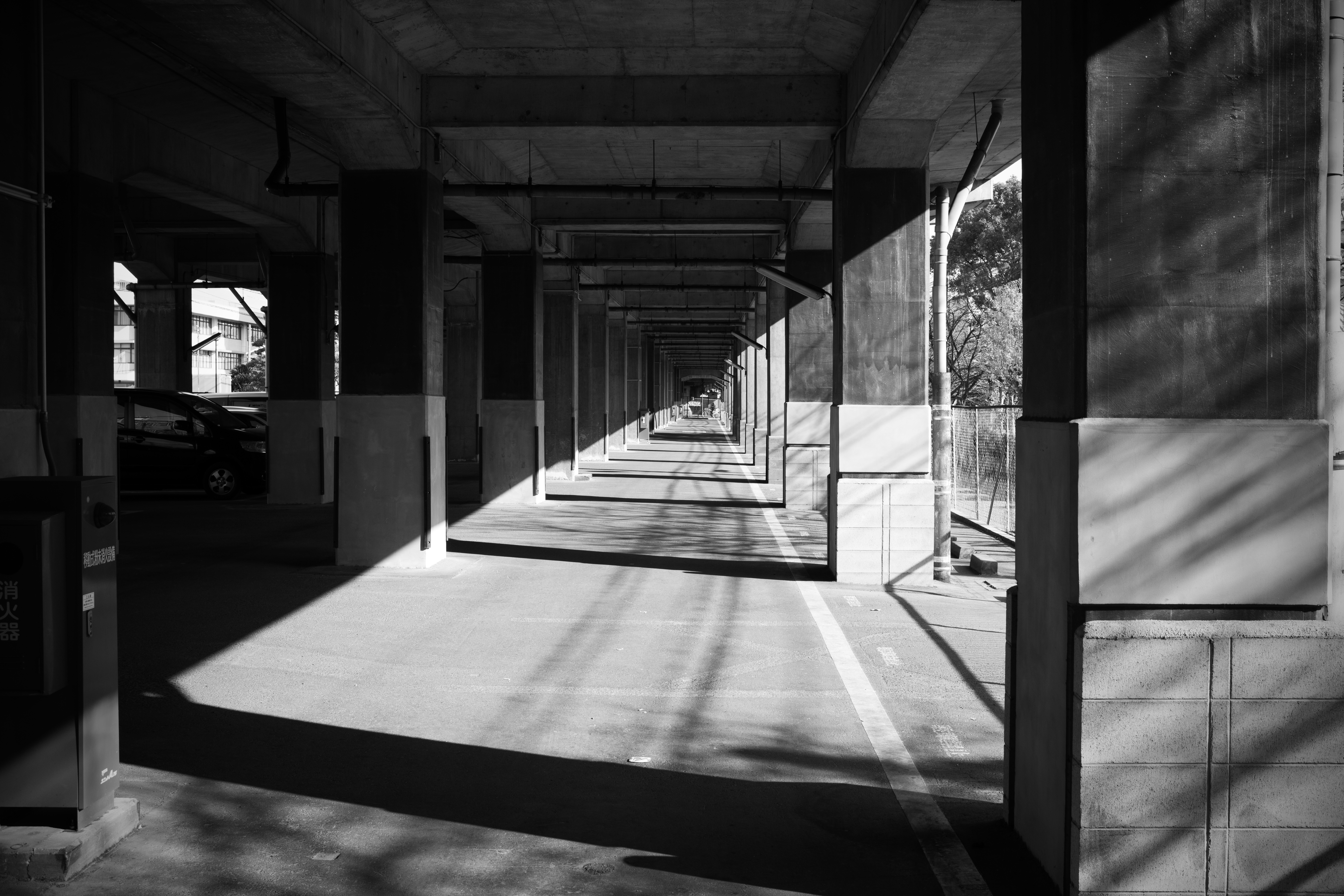 ISO200 / F8 / 1/125秒