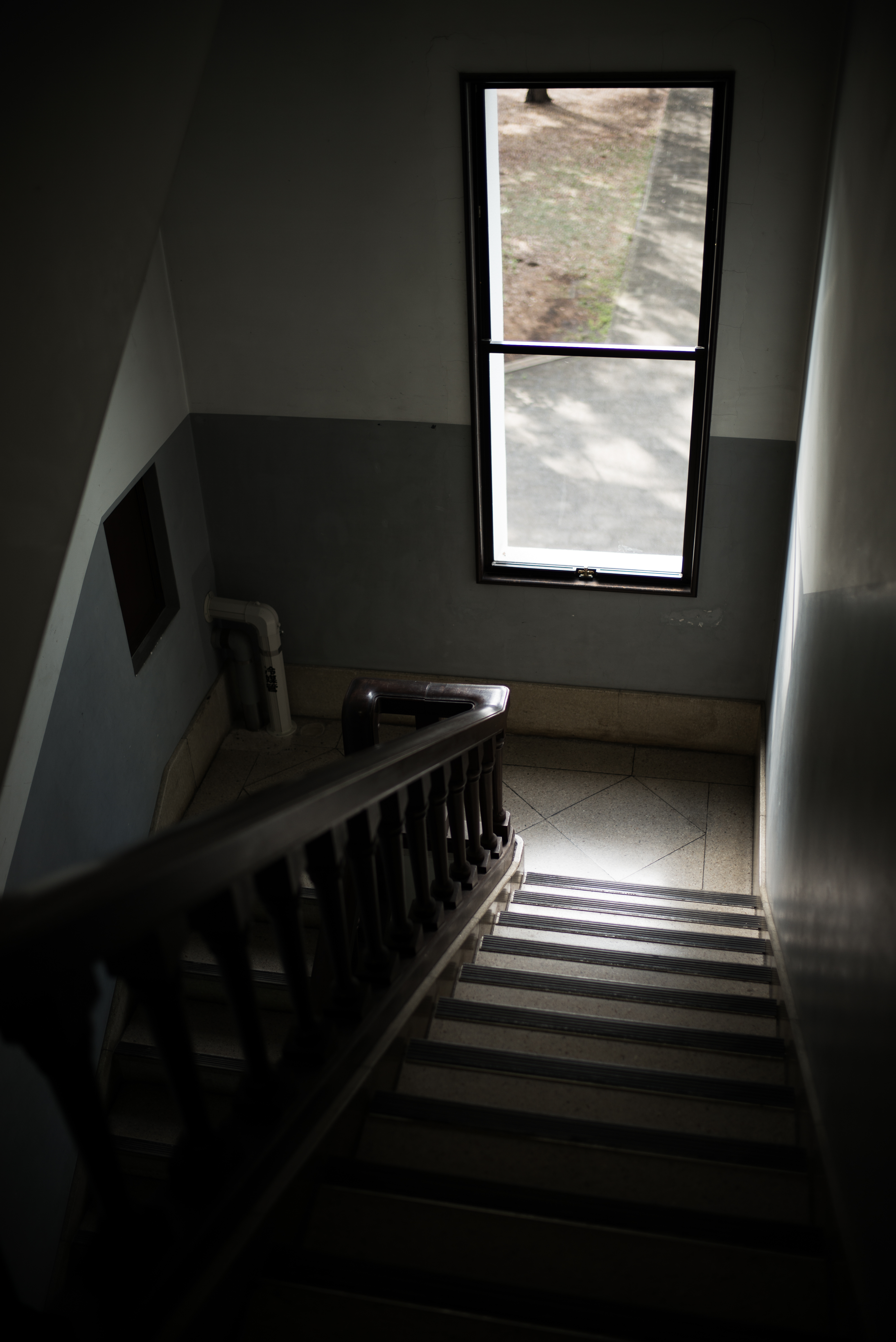 ISO200 / F1.4 / 1/250秒