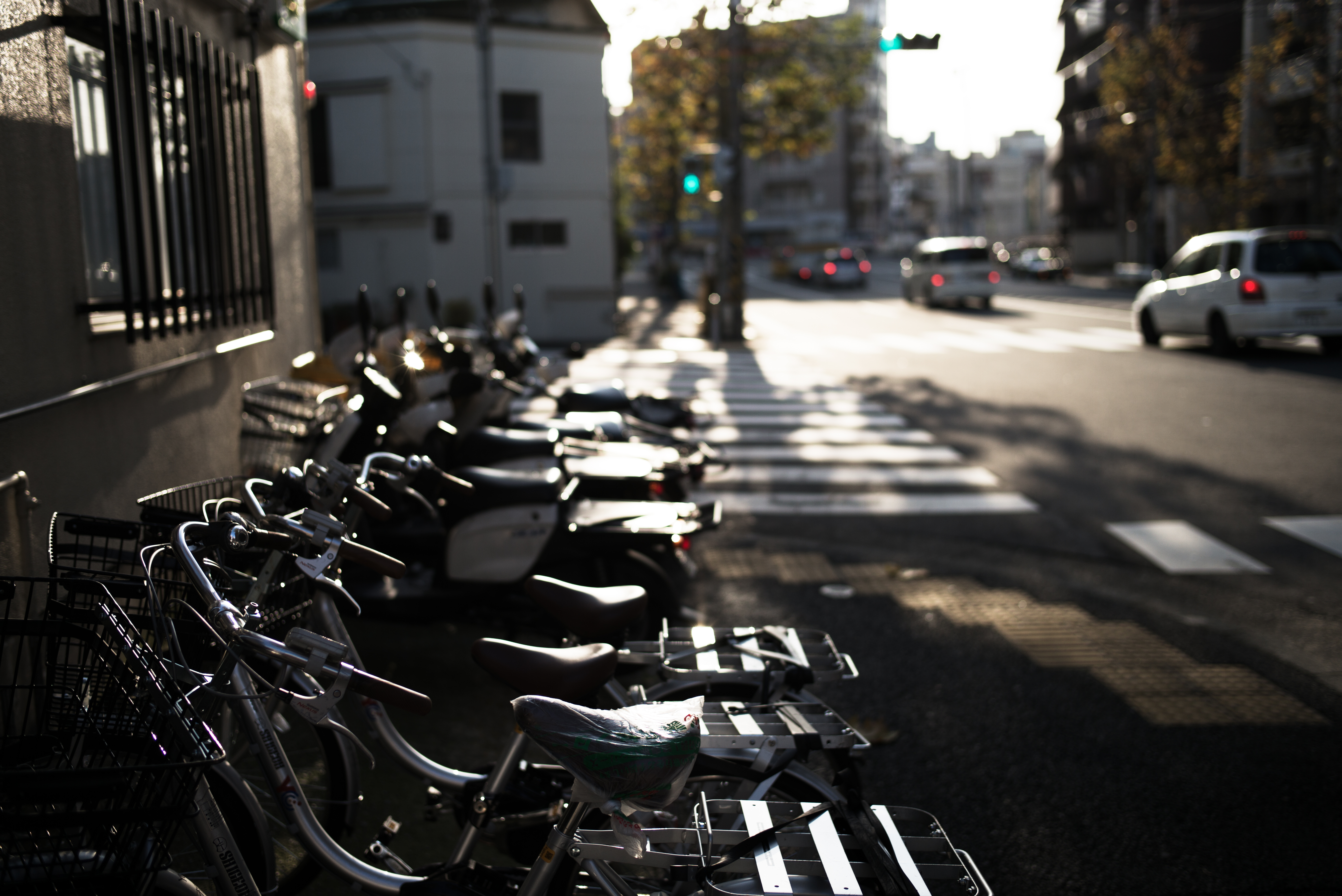 ISO200 / F2 / 1/4,000秒