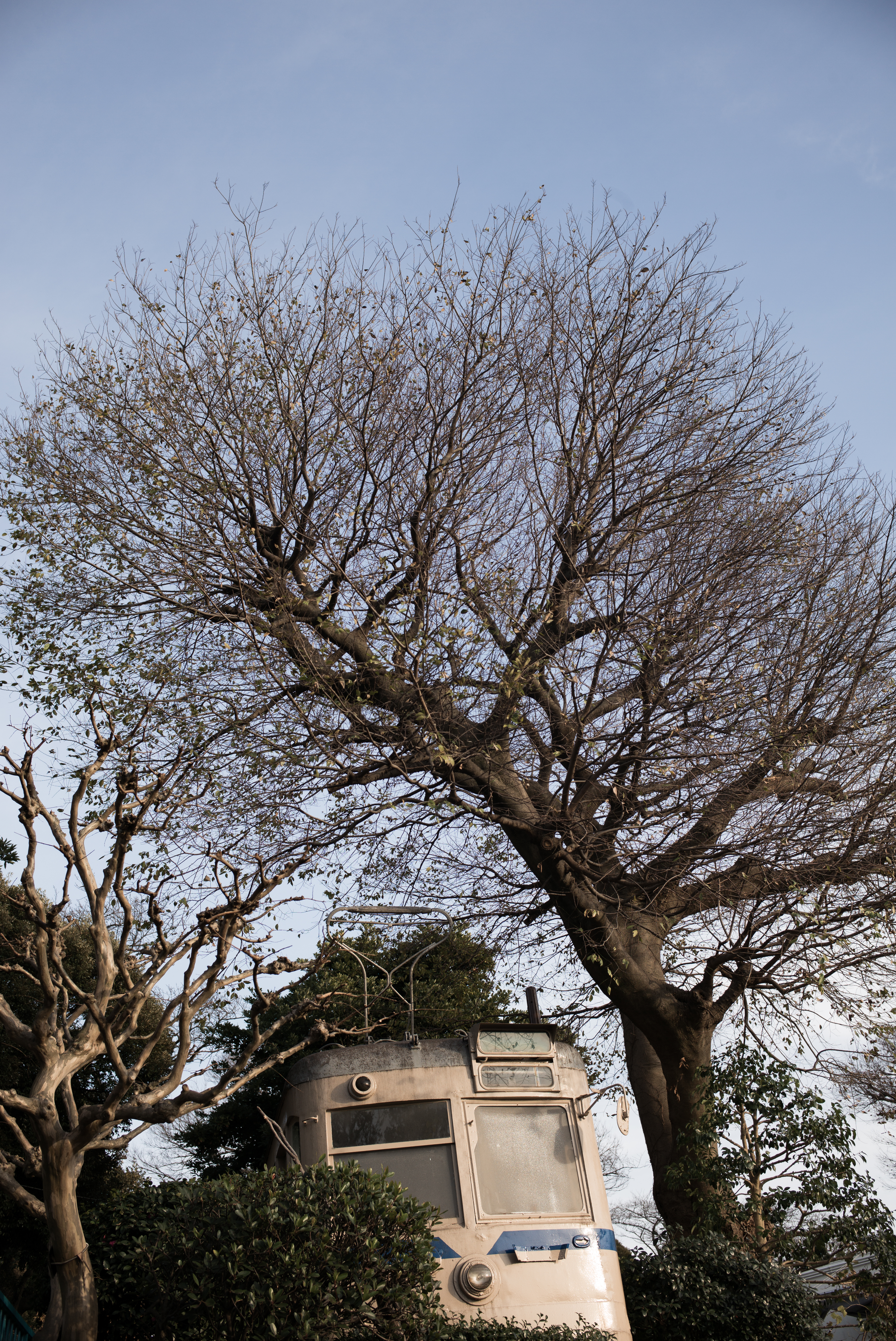 ISO200 / F5.6 / 1/250秒