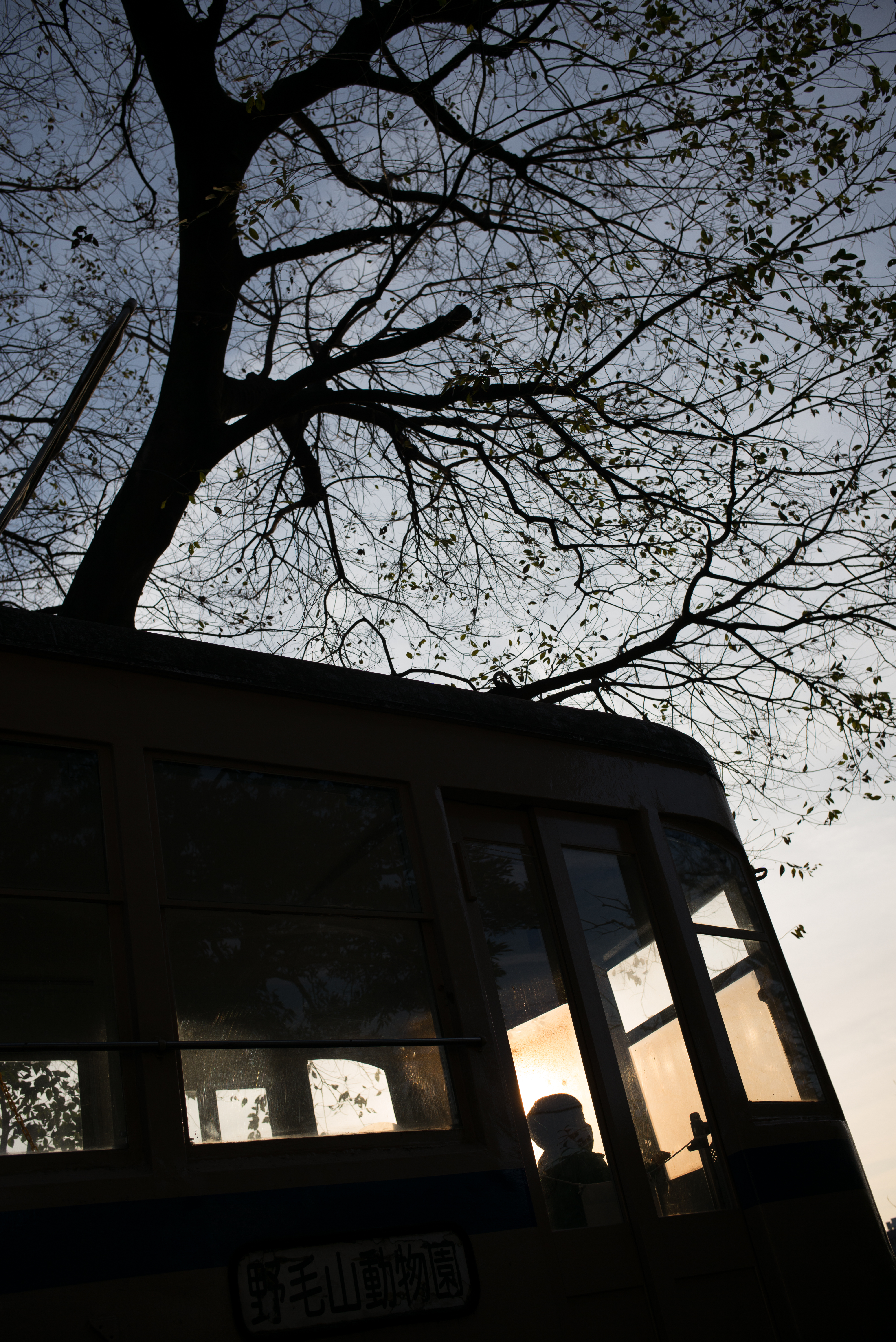 ISO200 / F5.6 / 1/1,500秒