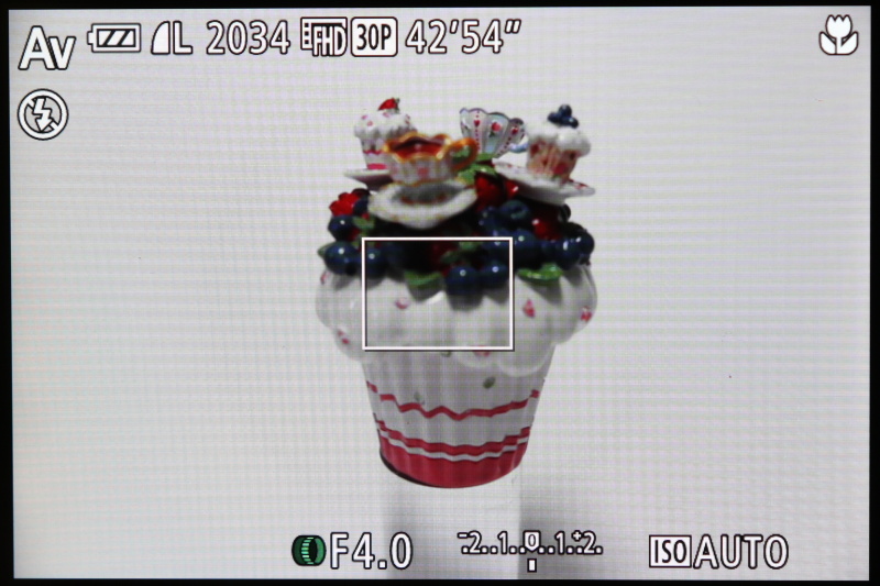 G1 X Mark IIのライブビュー画面。3型（アスペクト比3：2）、約104万ドット。上方向180度、下方向45度可動する。