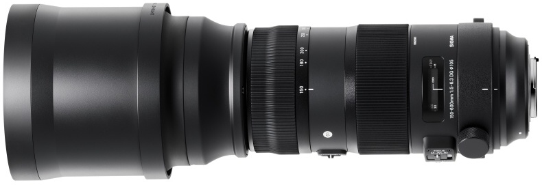 SIGMA 150-600mm F5-6.3 DG OS HSM | Sports