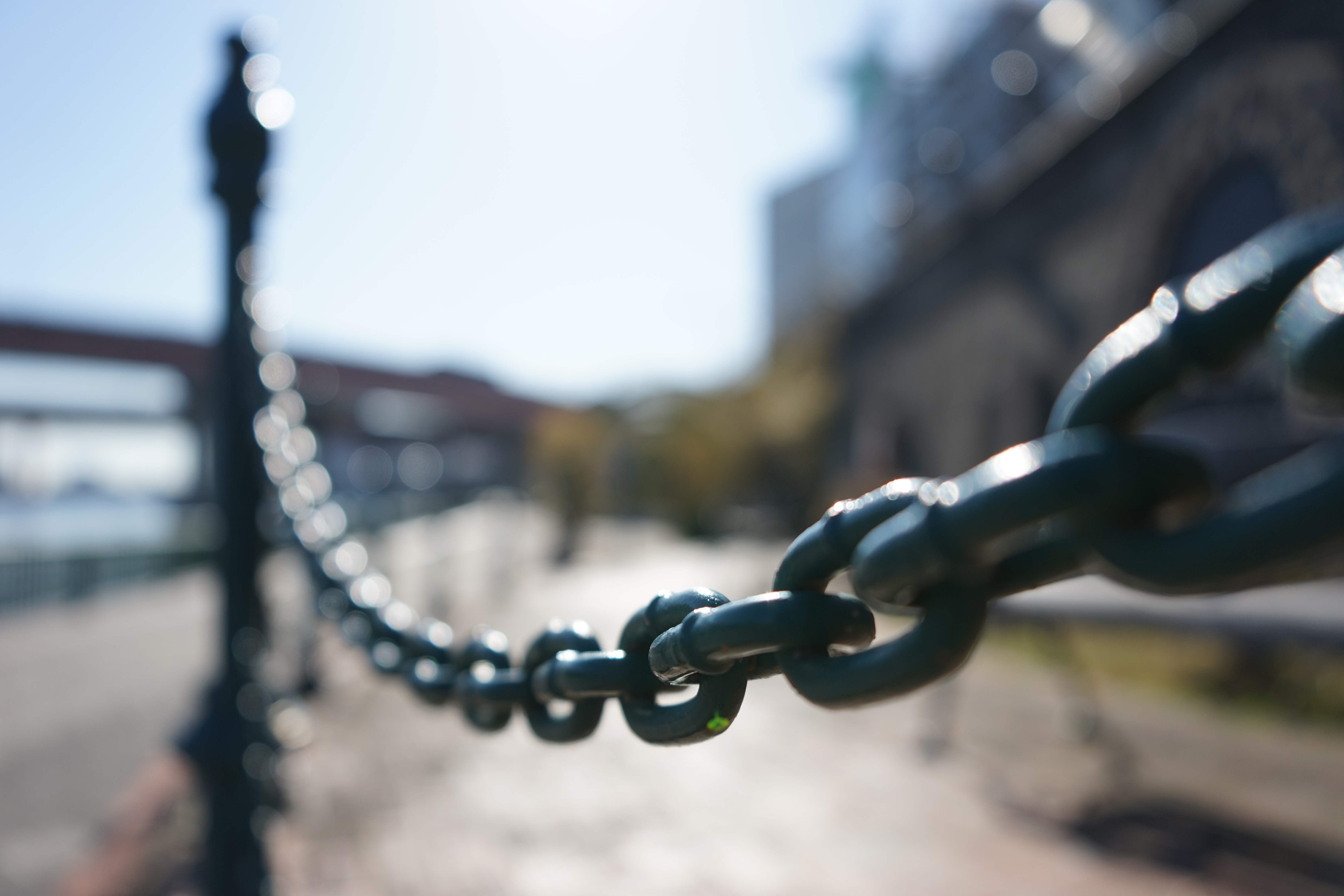 絞り開放・最短撮影距離（約30cm）で撮影。α7 / 1/1,600秒 / F3.5 / +0.3EV / ISO100 / 絞り優先AE/ 28mm