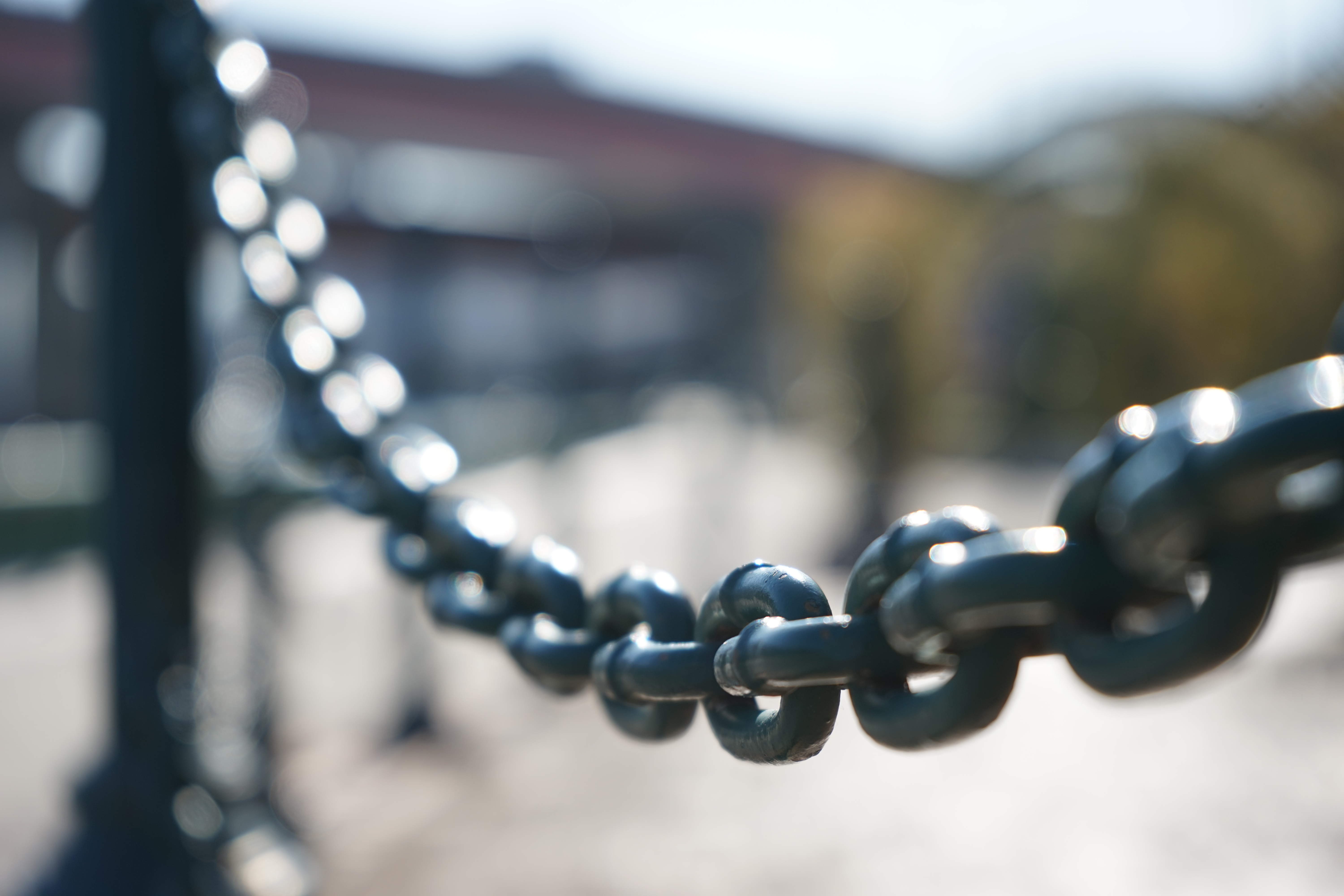 絞り開放・最短撮影距離（約40cm）で撮影。α7 / 1/400秒 / F5.6 / +0.3EV / ISO100 / 絞り優先AE/ 70mm