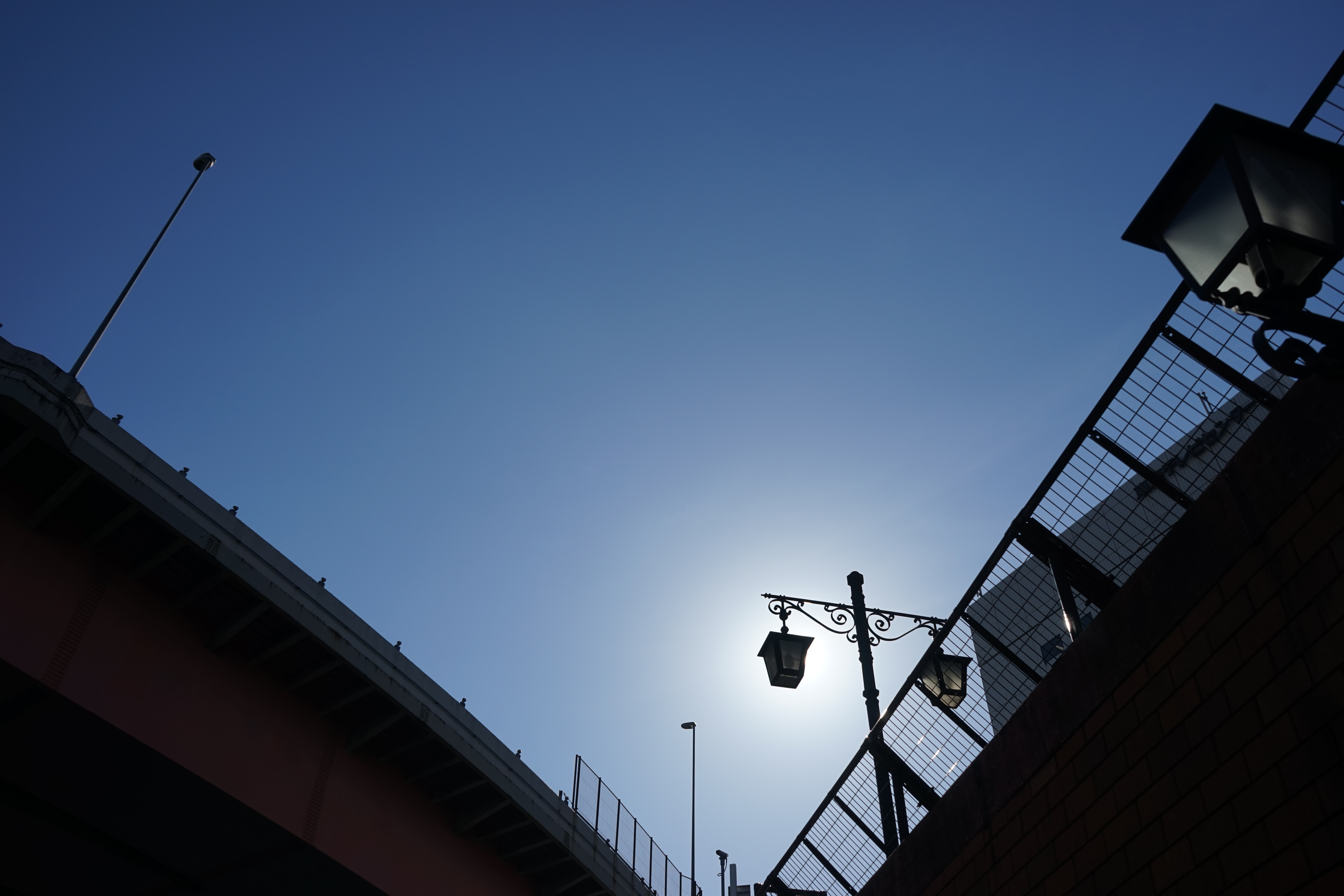 太陽が画面外にある逆光で撮影。α7 / 1/1,000秒 / F8 / 0EV / ISO100 / 絞り優先AE/ 28mm