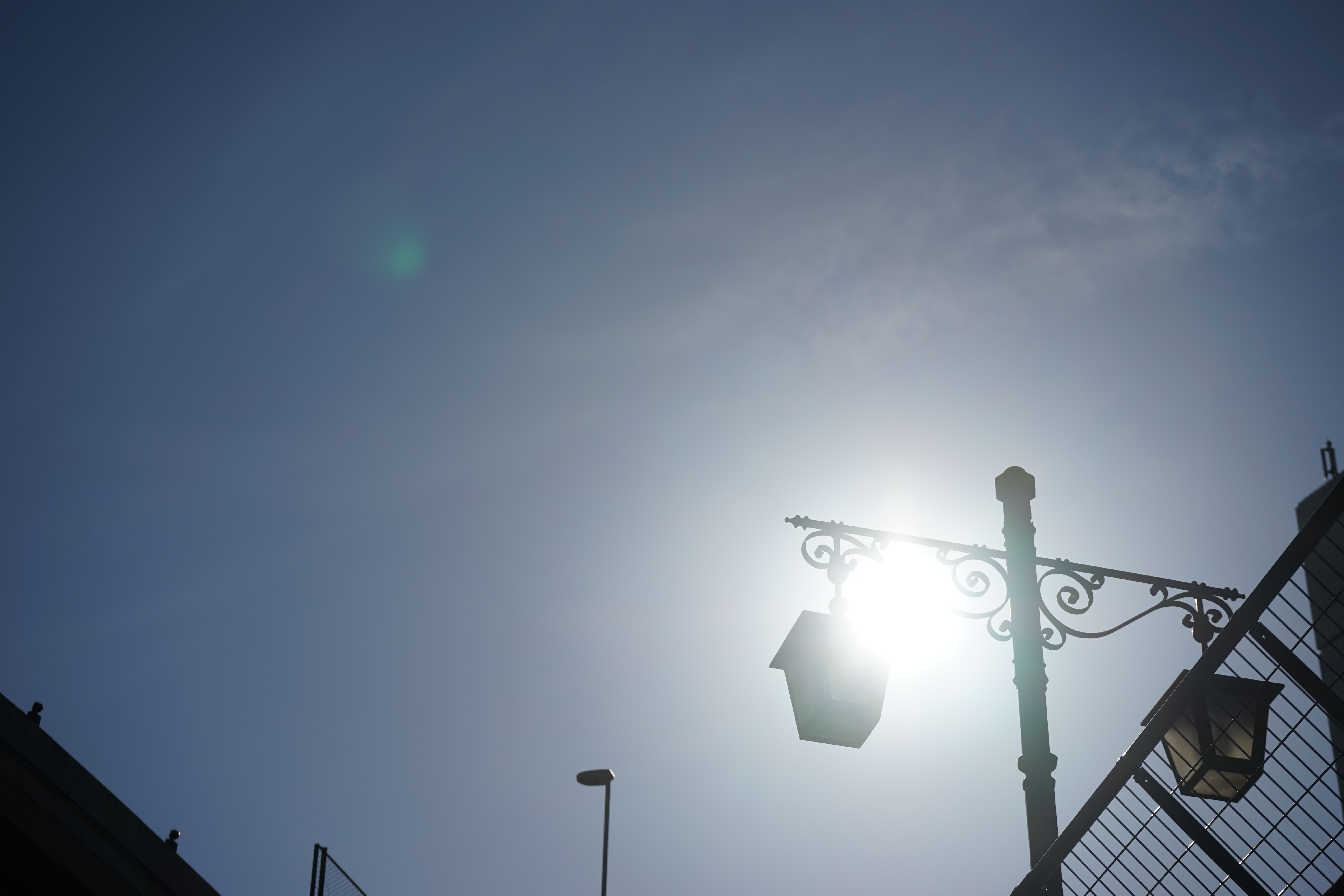 太陽が画面内に入る逆光で撮影。α7 / 1/2,500秒 / F8 / 0EV / ISO100 / 絞り優先AE/ 70mm