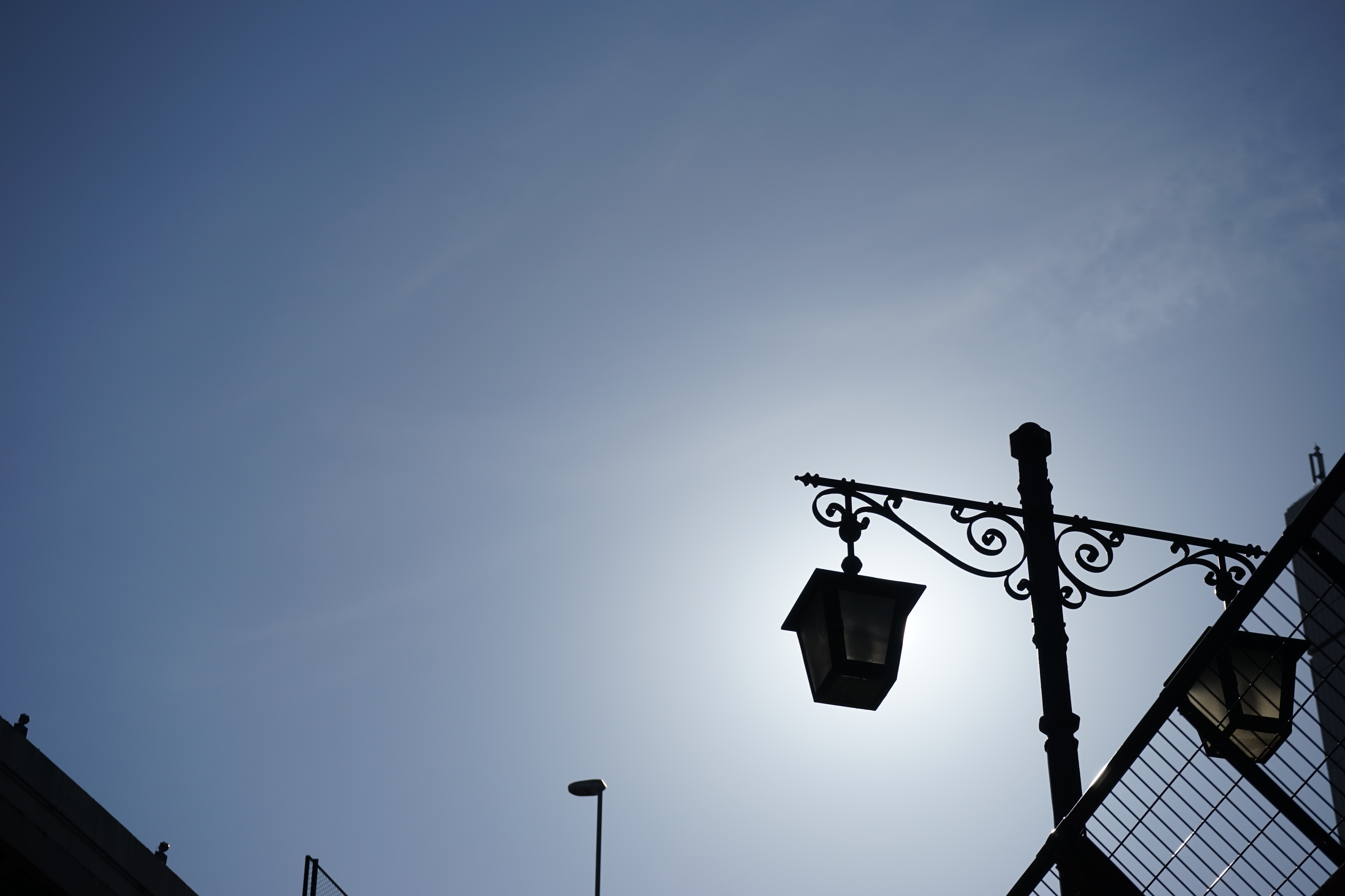 太陽が画面外にある逆光で撮影。α7 / 1/2,000秒 / F8 / 0EV / ISO100 / 絞り優先AE/ 70mm