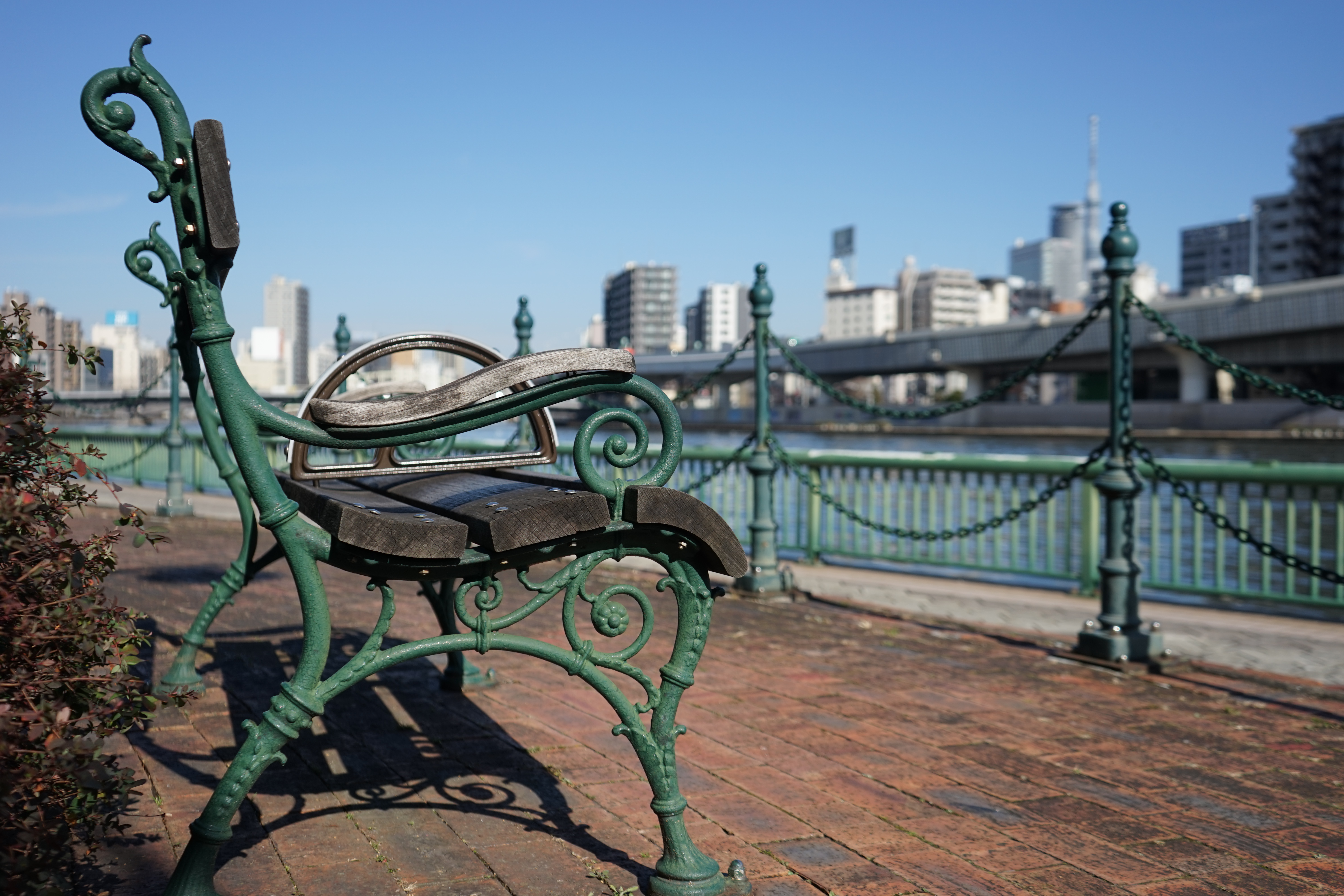 α7 / 1/1,250秒 / F4 / 0EV / ISO100 / 絞り優先AE/ 34mm