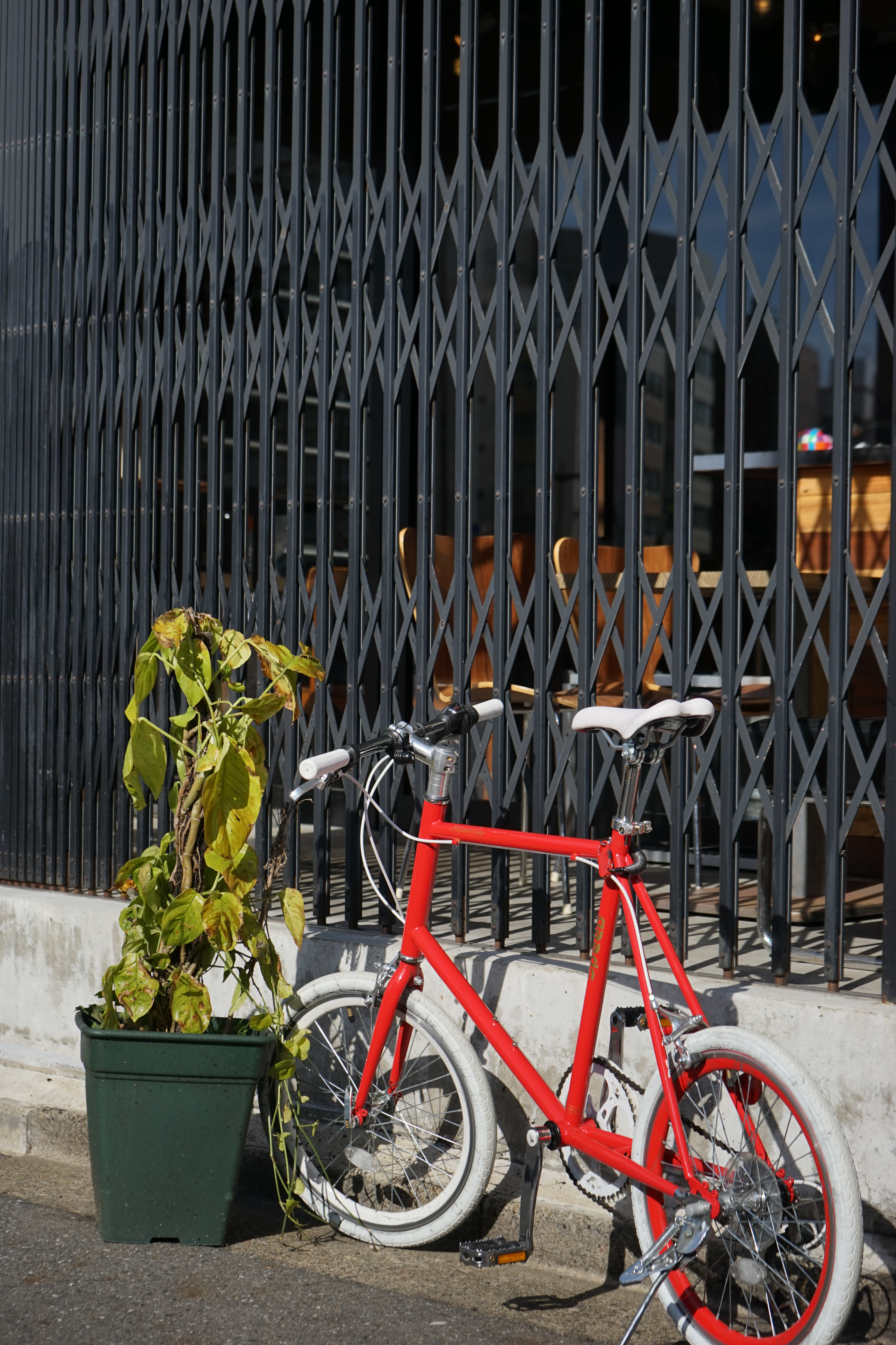 α7 / 1/1,000秒 / F5.6 / -1.3EV / ISO100 / 絞り優先AE/ 63mm