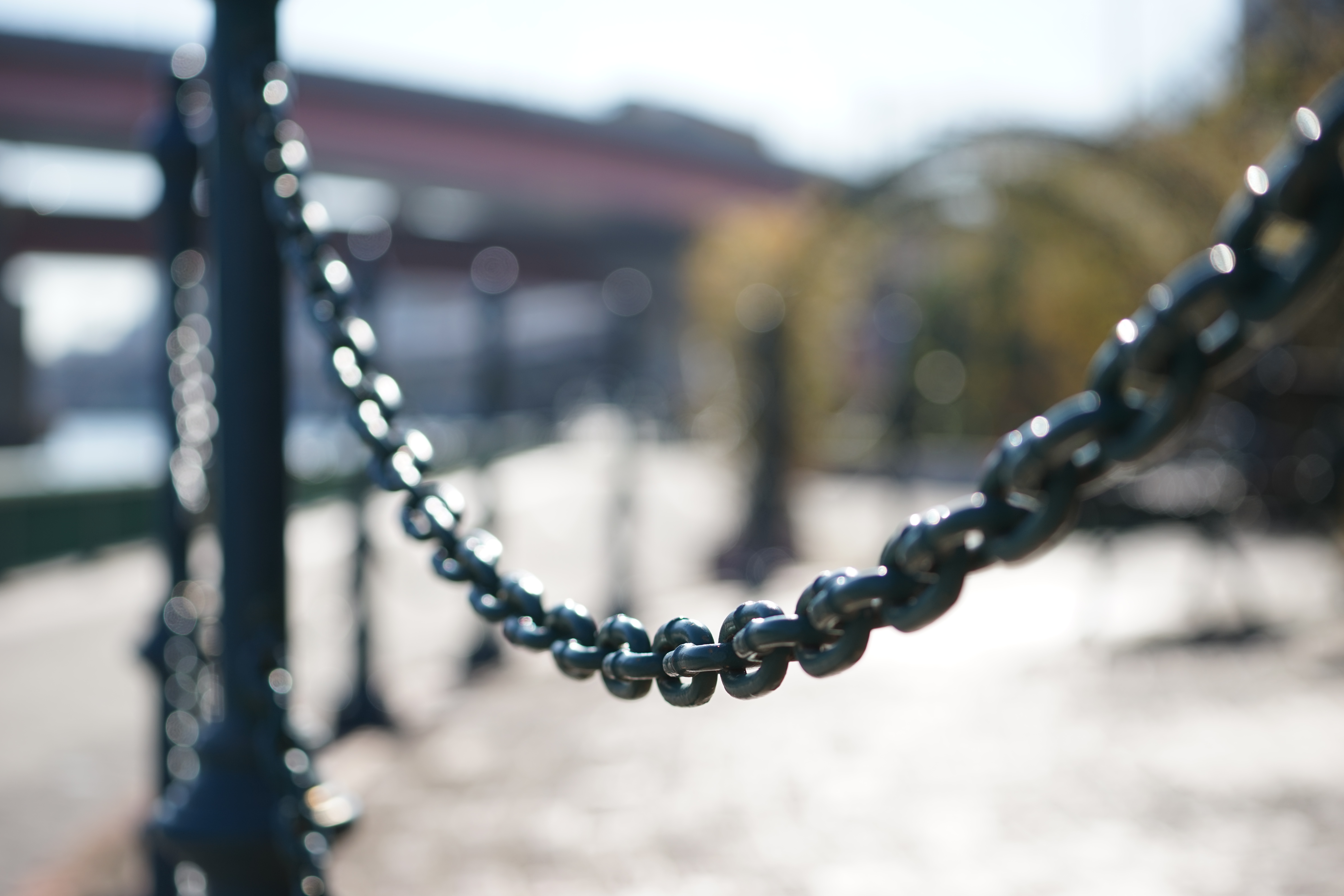 絞り開放・最短撮影距離（約1m）で撮影。α7 / 1/500秒 / F4 / +0.7EV / ISO100 / 絞り優先AE / 70mm