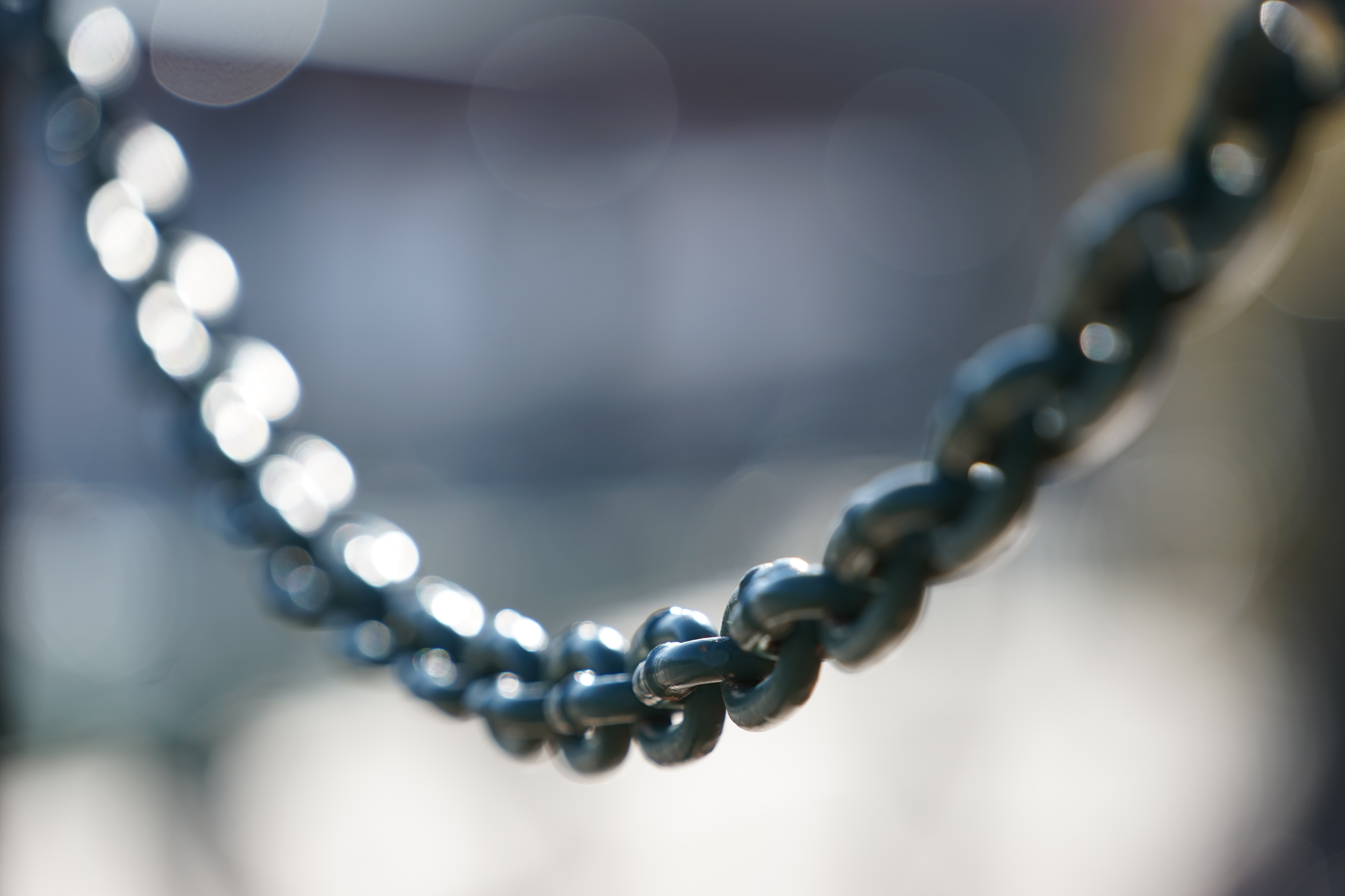 絞り開放・最短撮影距離（約1.5m）で撮影。α7 / 1/400秒 / F4 / +0.3EV / ISO100 / 絞り優先AE / 200mm