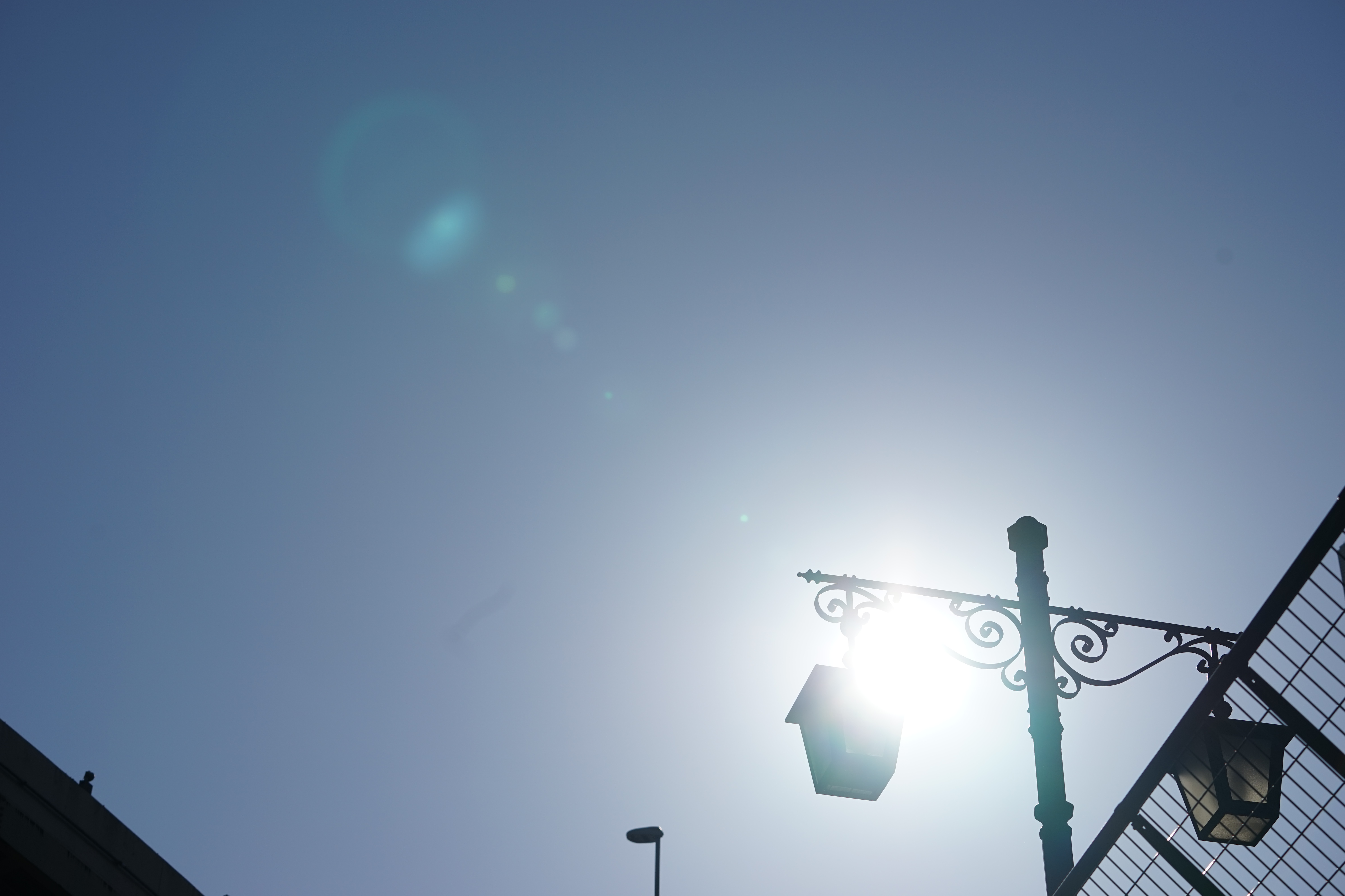 太陽が画面内に入る逆光で撮影。α7 / 1/1,600秒 / F8 / 0EV / ISO100 / 絞り優先AE / 70mm