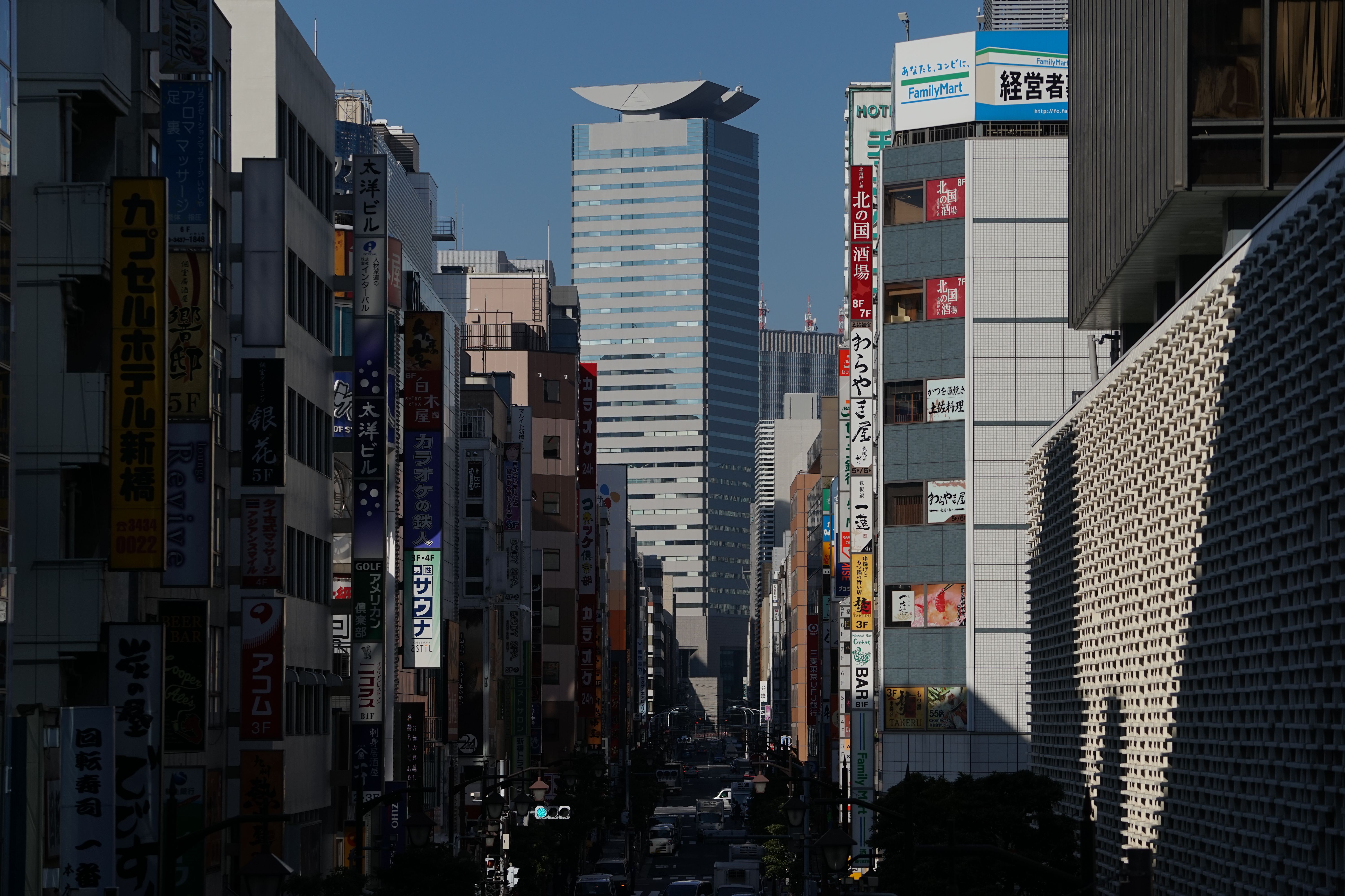 α7 / 1/2,000秒 / F5.6 / -1.3EV / ISO100 / 絞り優先AE / 122mm